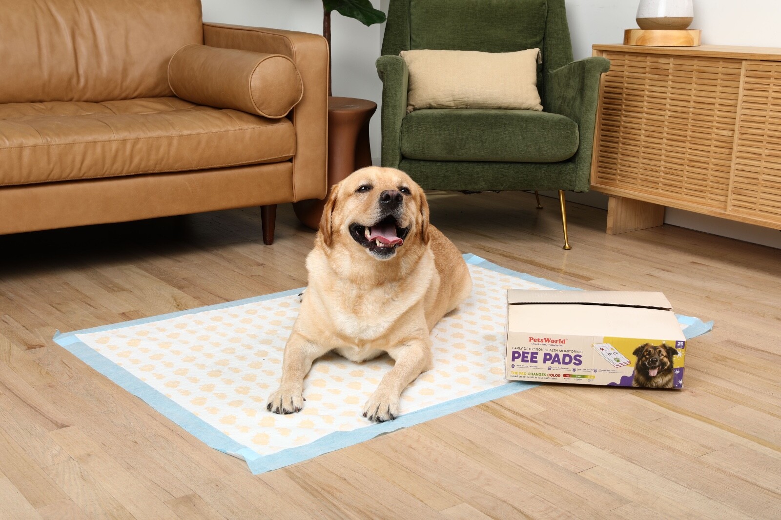 PetsWorld 36×36 Inch Health Monitoring Dog Pee Pads – 25 Count |Color-Changing