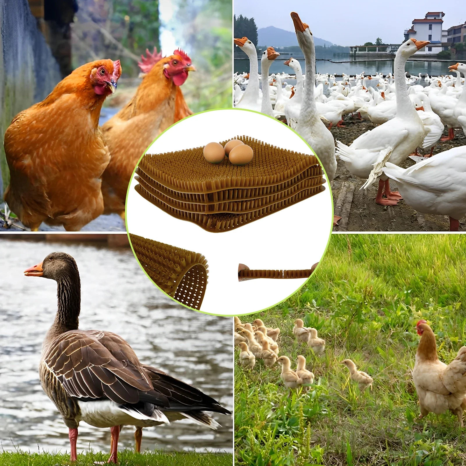 1Pcs Chicken Bedding Mats Nesting Pads Washable Hen Nesting Pads Plastic Cuttabl