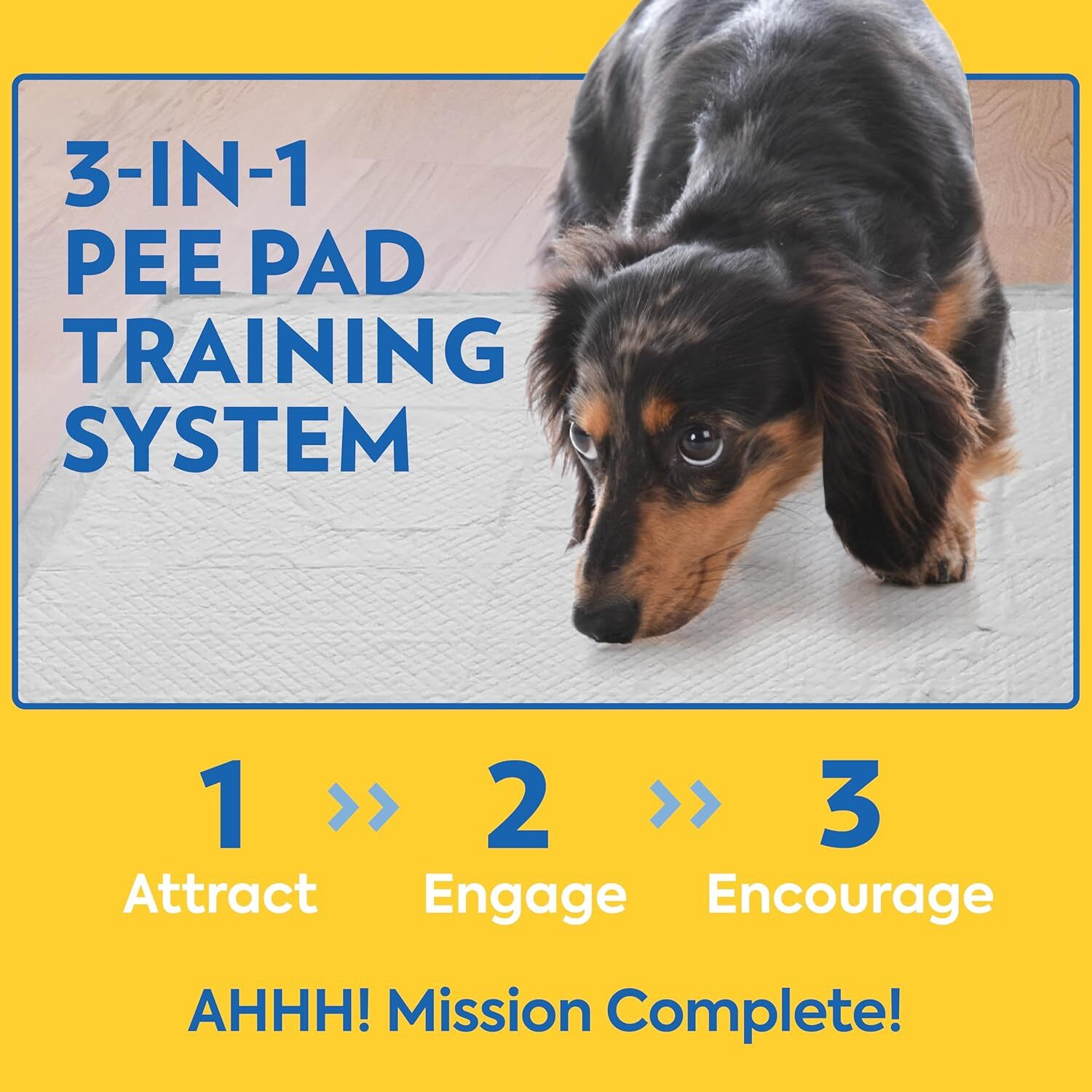 OUT! Heavy Duty XXL Dog Pads | Absorbent Pet Training and Puppy Pads | 30 Pads