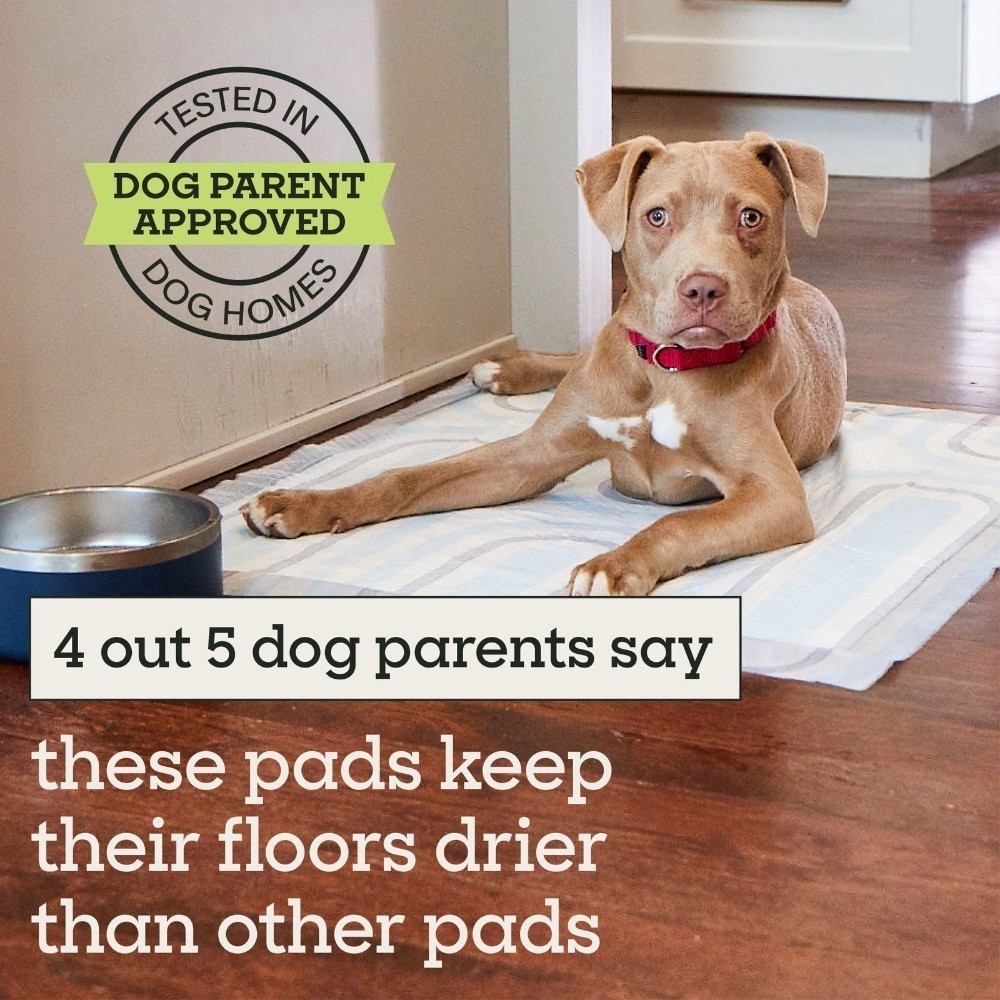 Dog Pads Large 22″x22″ 40ct W/ Leak-Proof & Quick Absorb For Puppy Training