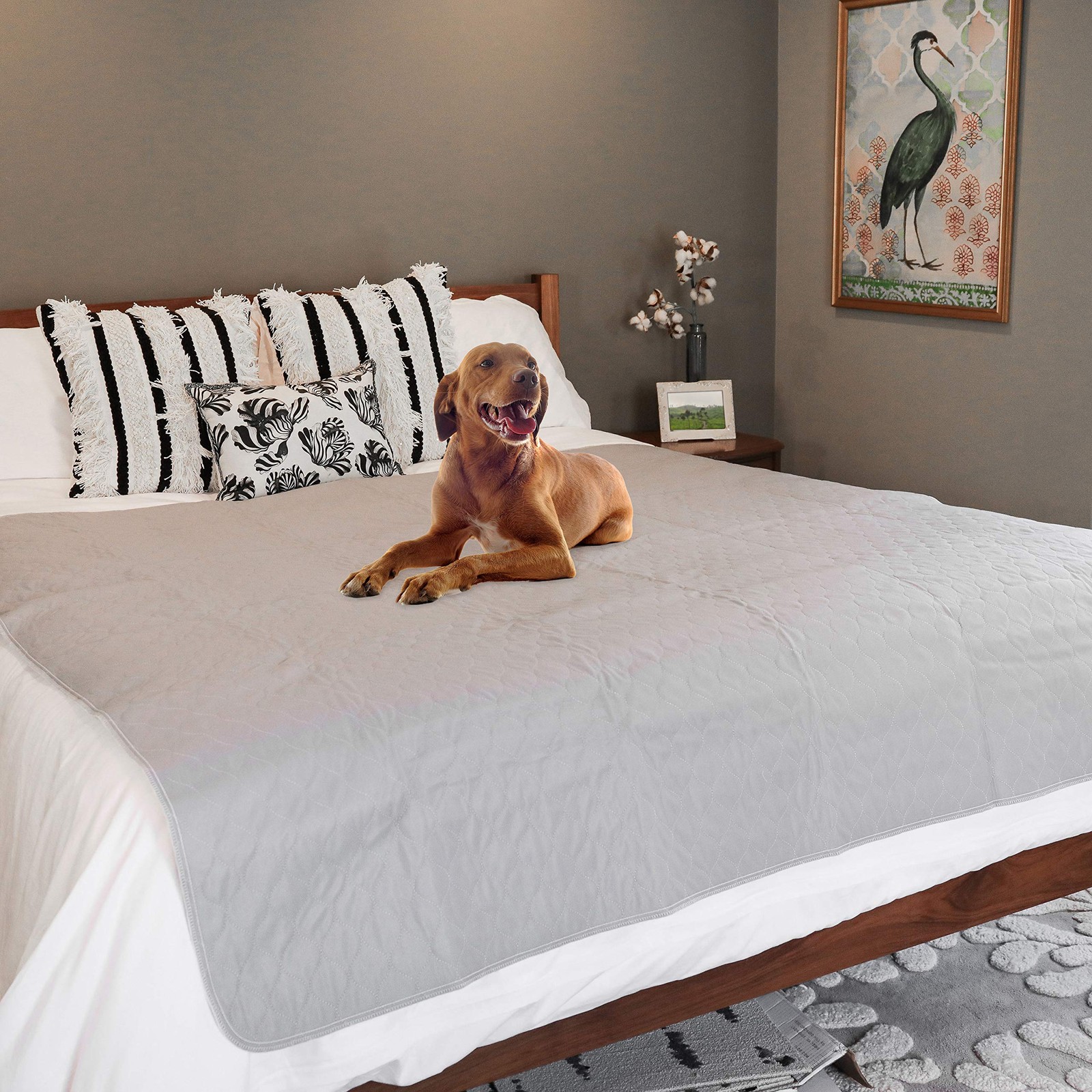 rocket and rex Premium XL Non-Slip Washable Dog Playpen Mat (60″x60″) | For w…