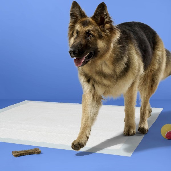 Dog Training Pads – XXL – 40ct Unscented, Polymer Material