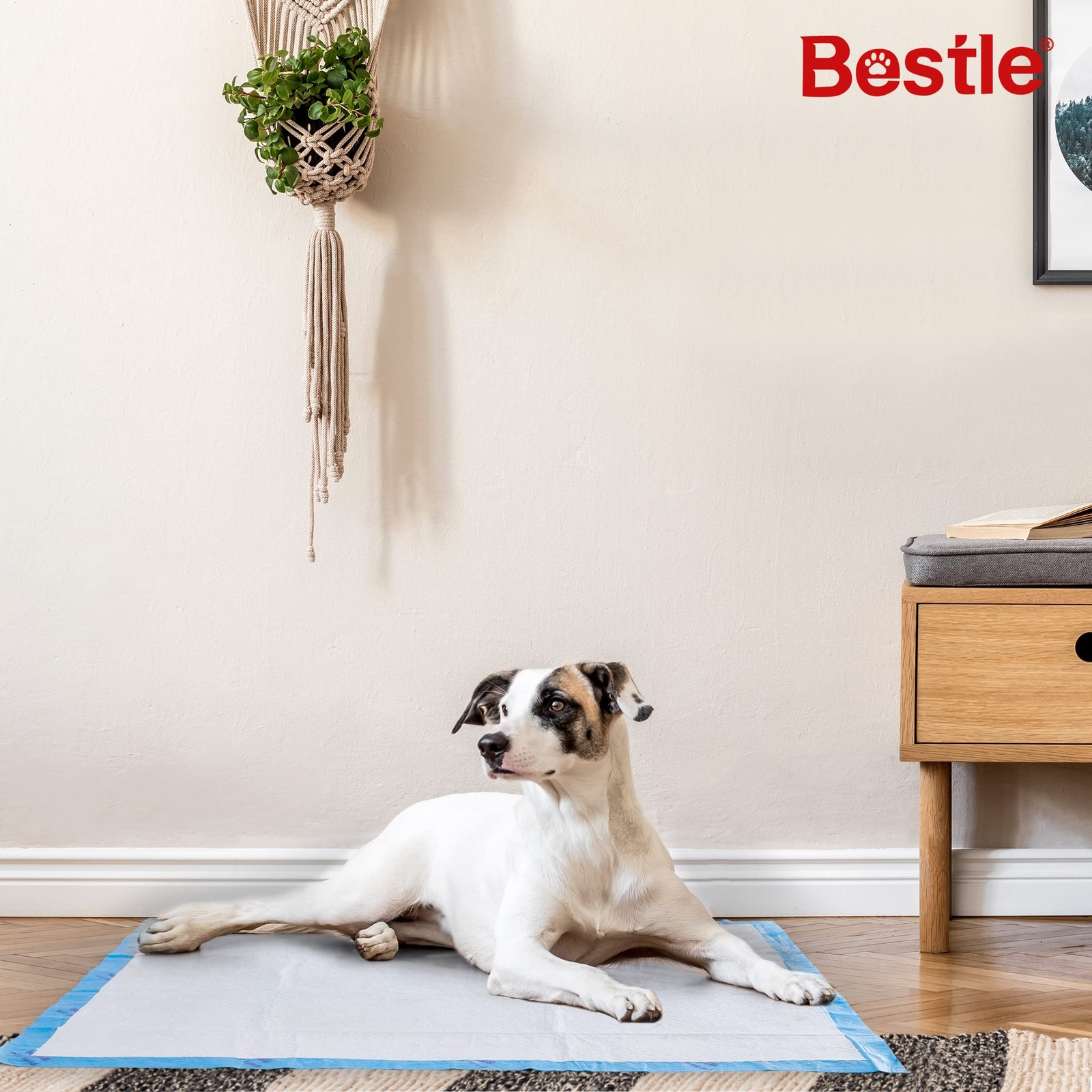 BESTLE Extra Large Pet Training and Puppy Pads Pee Pads for Dogs 28″x34″ 40 C…