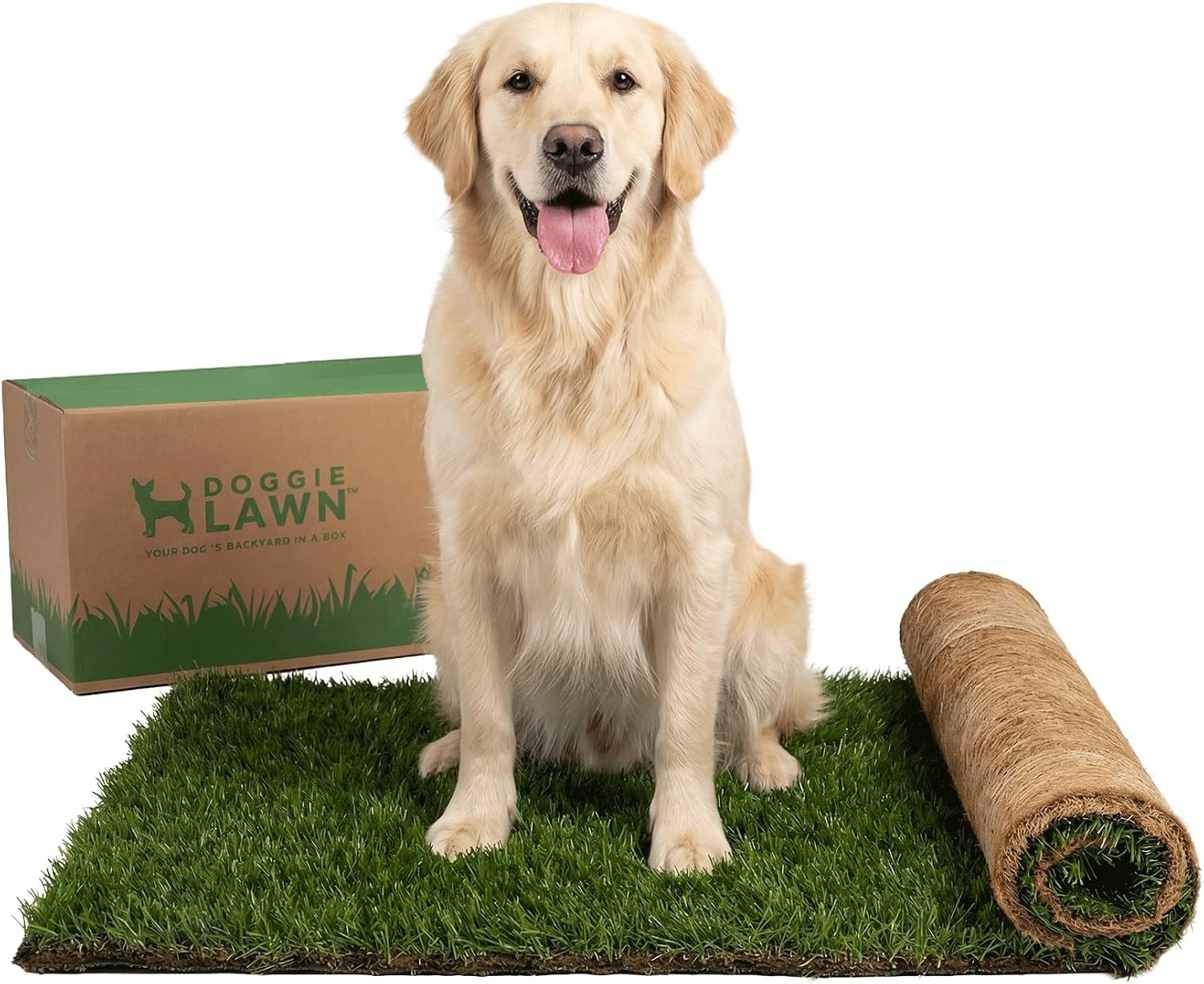 Dog Potty Real Grass XLarge 24×48 inches