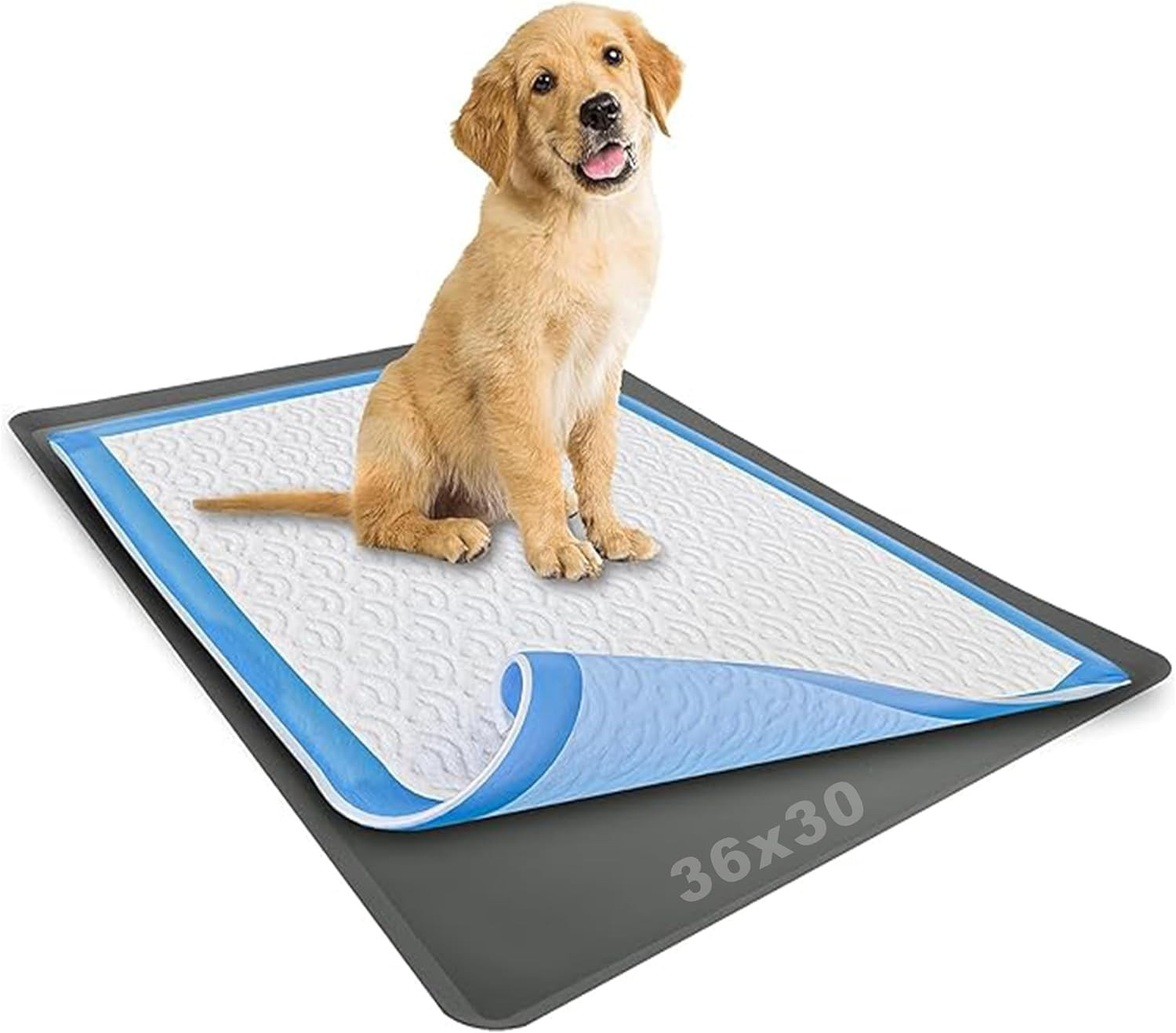 Tidyfriend Dog Pee Pad Holder Tray Fits up to 30” X 36” Wee Wee Pee Pads – Stabl