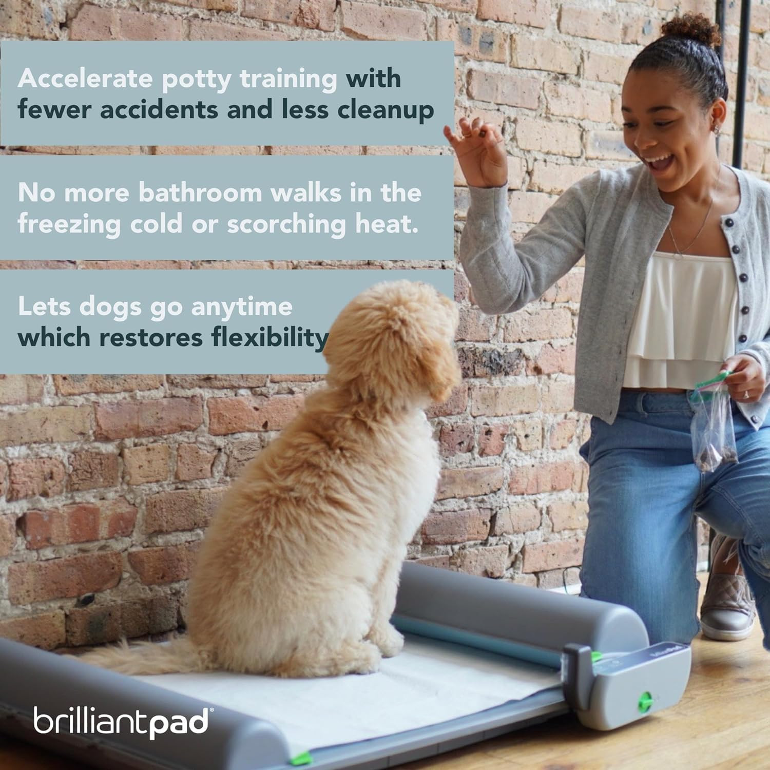 Indoor Dog Potty for Small Pets, Basic | Automatic Self Cleaning with Odor Contr