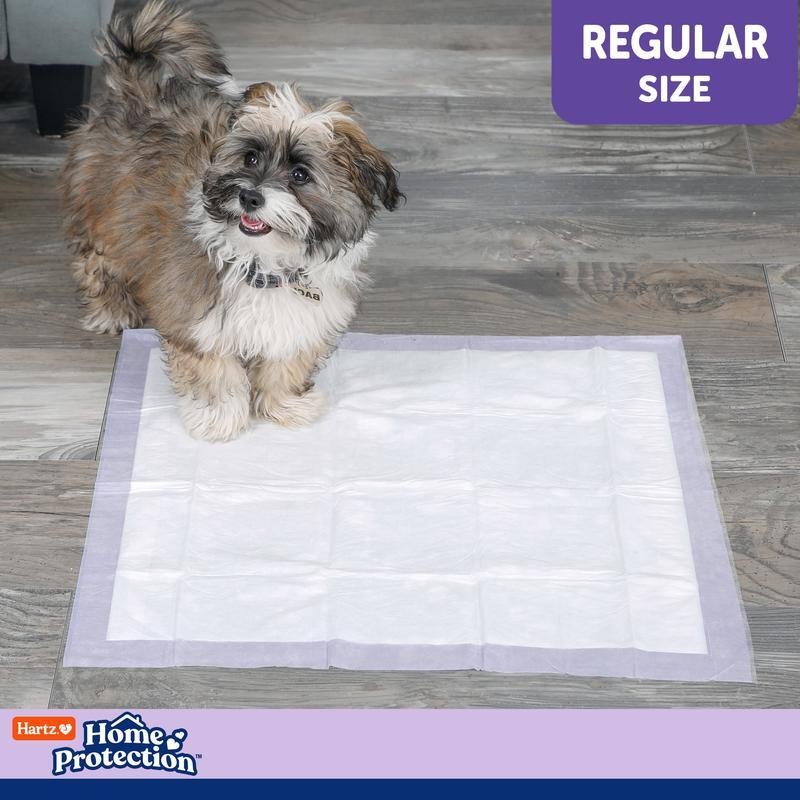 Home Protection Lavender Scent Odor-Eliminating Dog Pads Regular Size 100ct
