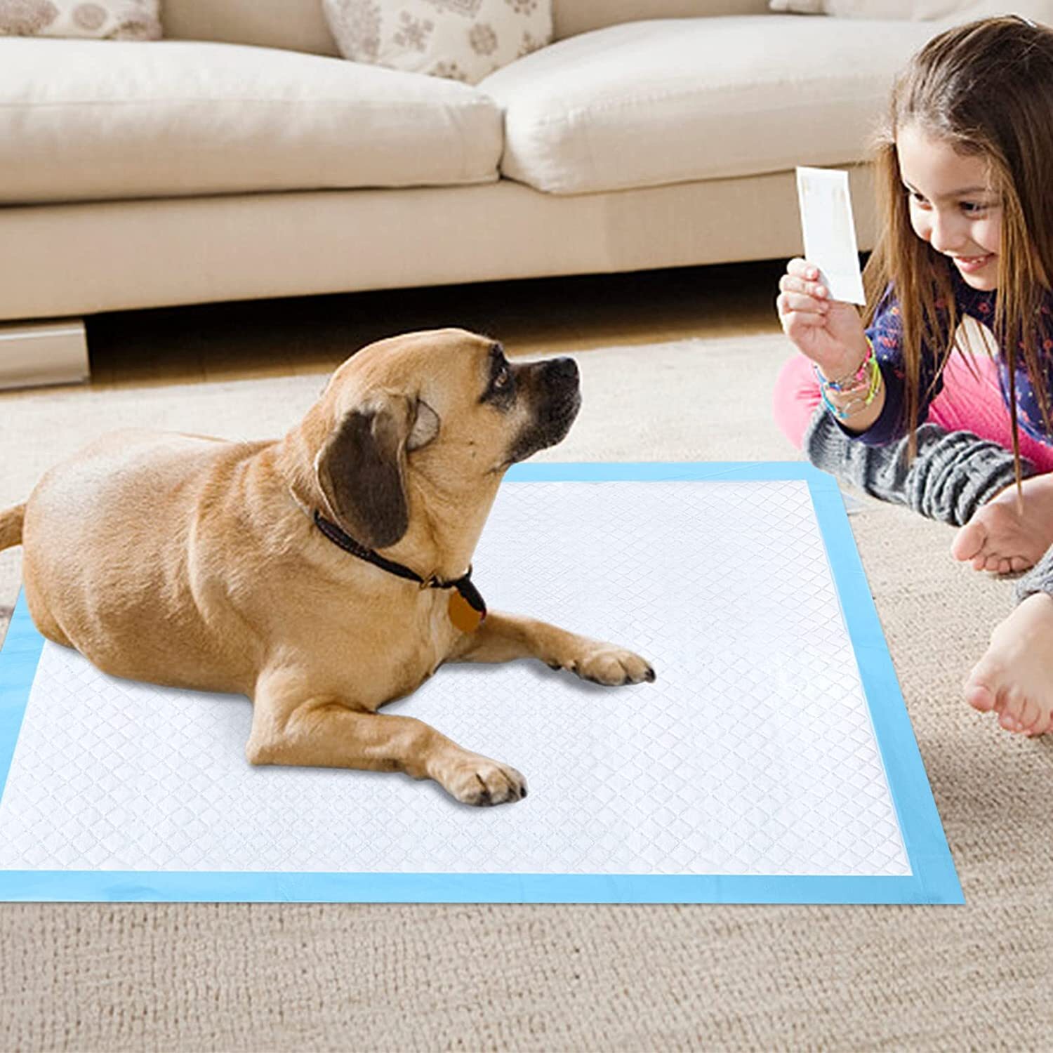 Dog Pee Pads Disposable Puppy Pet Housebreaking Pad Pee Training Pads Underpads