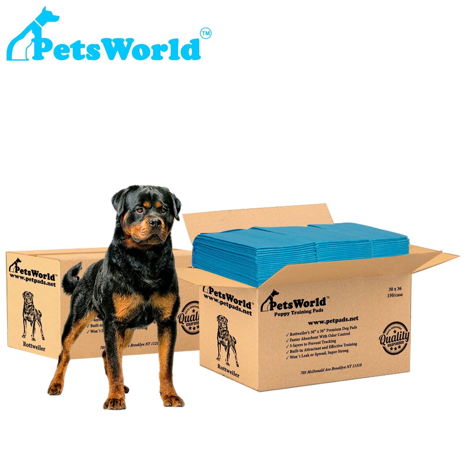 Puppy Training Potty Pads Cat Odor Elimination 300 Count Apartments Home Economy
