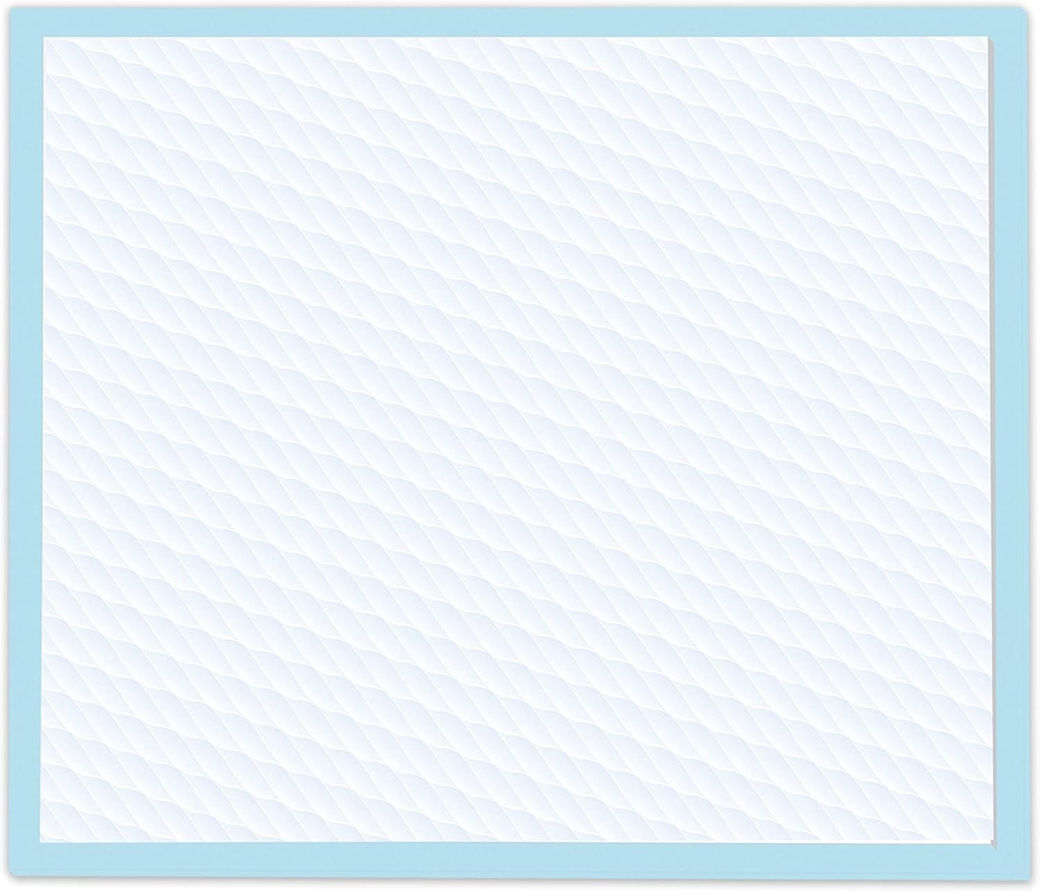 Wee-Wee Unscented Puppy & Dog Pads – 6-Layer Leak-Proof Technology, 10 Count