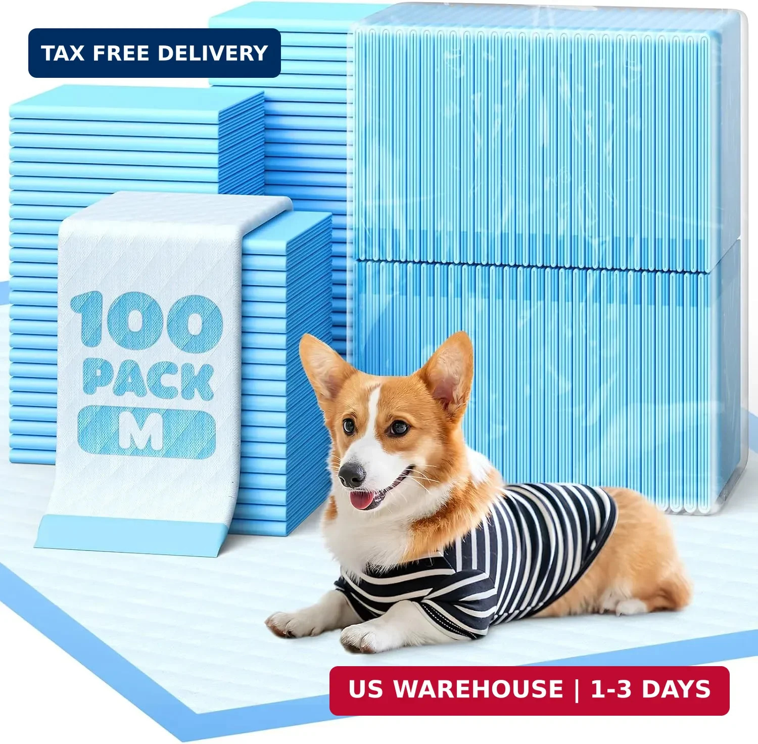 Puppy Pads, 22 x 22 in, Super Absorbent, Spill-Proof, 100 Packs | Pee Pa