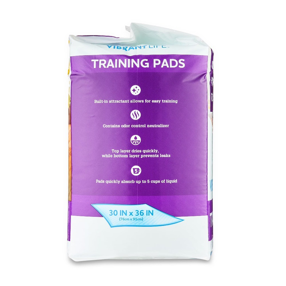 (2 pack) XXL Training Pads, Super Absorbent, Leak Proof