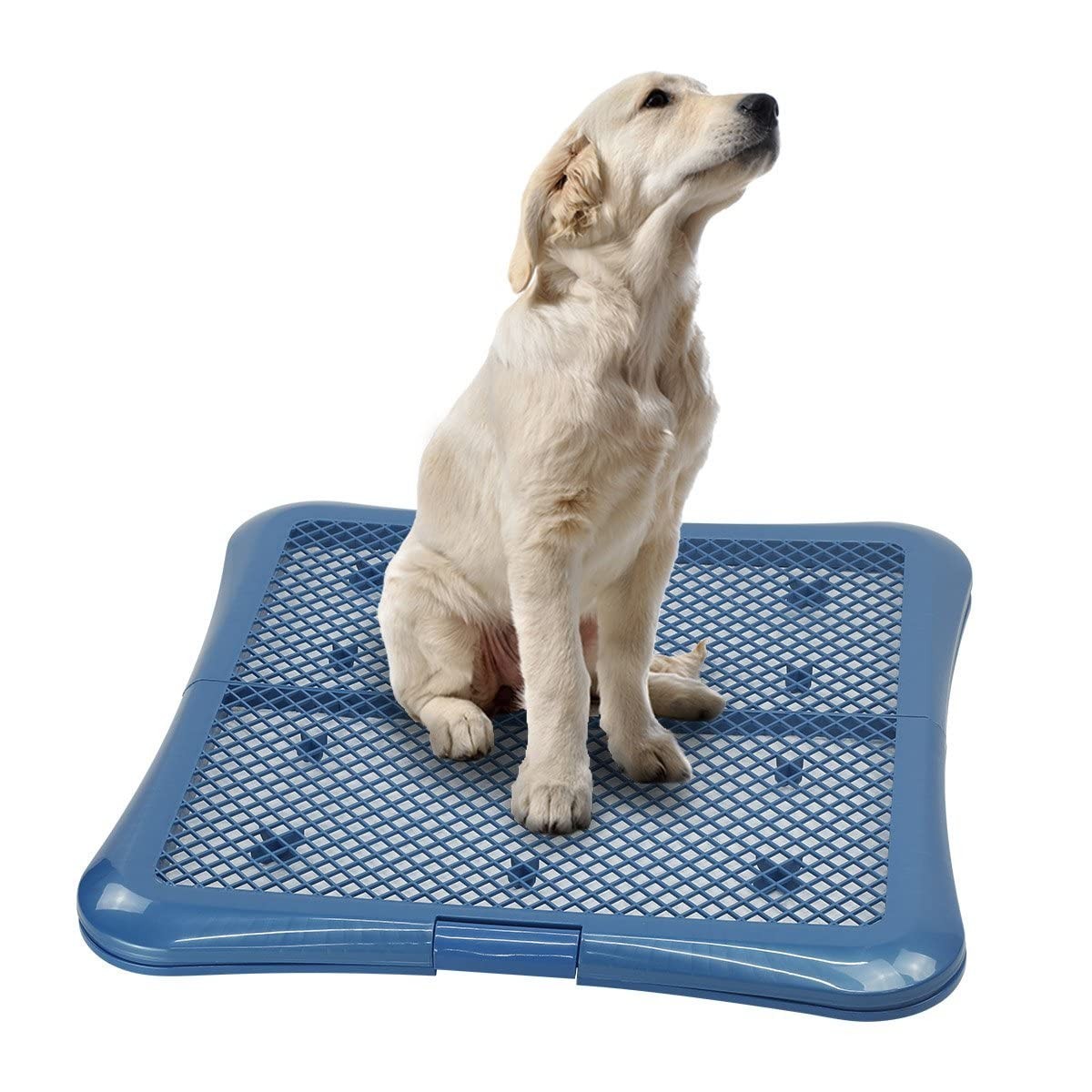 Training Pad Holder Floor Protection Dog Pad Holder Mesh Training Tray (L-24″…