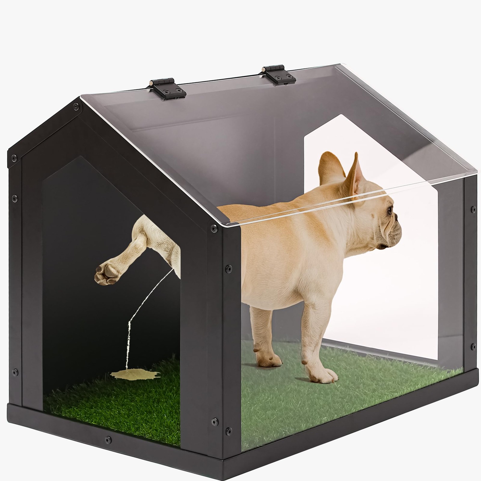 Stylish Indoor Dog Potty with High Walls, Durable Washable Fake Grass Mat, Sp…