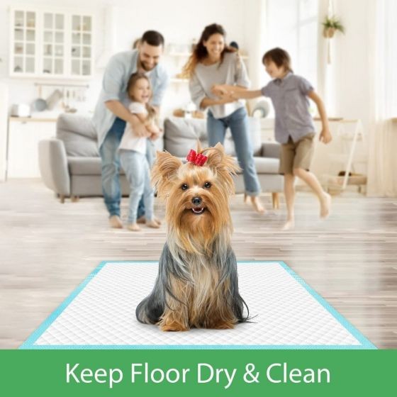 Dog Toilet Paper, Breathable (Blue)