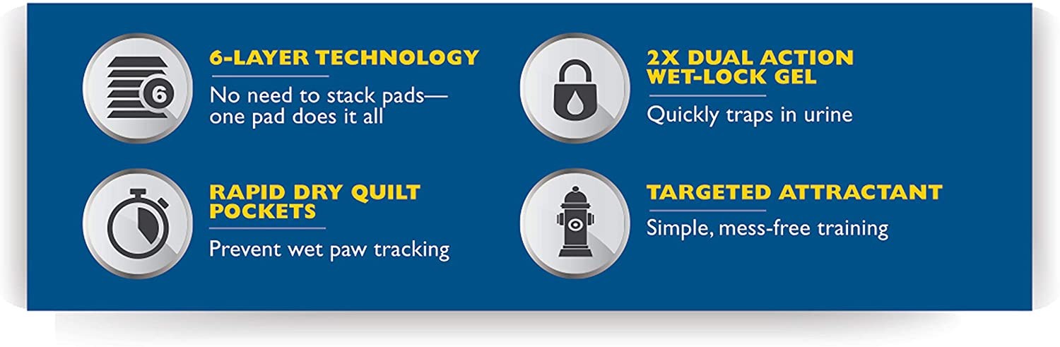 Four Paws Wee-Wee Pads Insta-Rise Border Super Absorbent 22×23 Dog Pads 10 count
