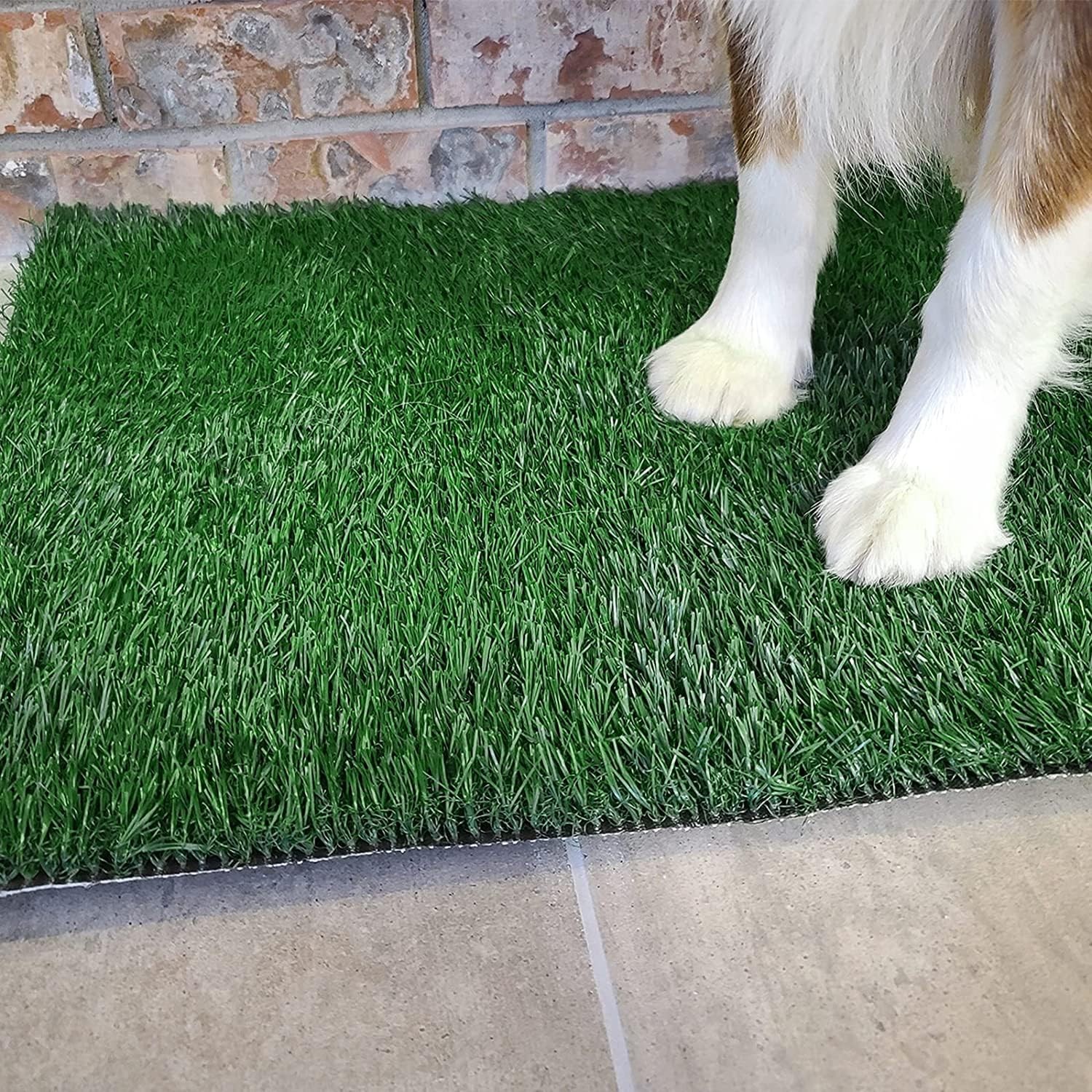 Grass Pad with Tray 20″x16″, Dog Litter 20″x16″（4 Layer Potty System), Black