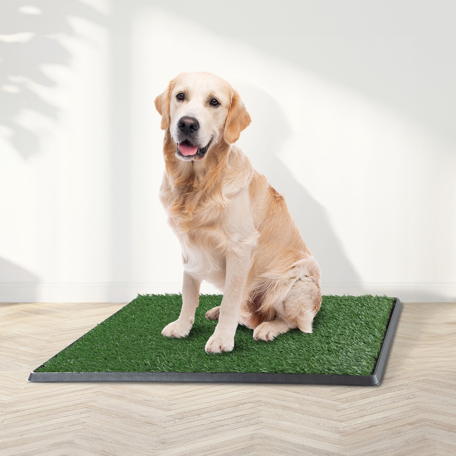 Artificial Grass Puppy Pee Pad for Dogs and Small Pets 20×30 Inch, Reusable …