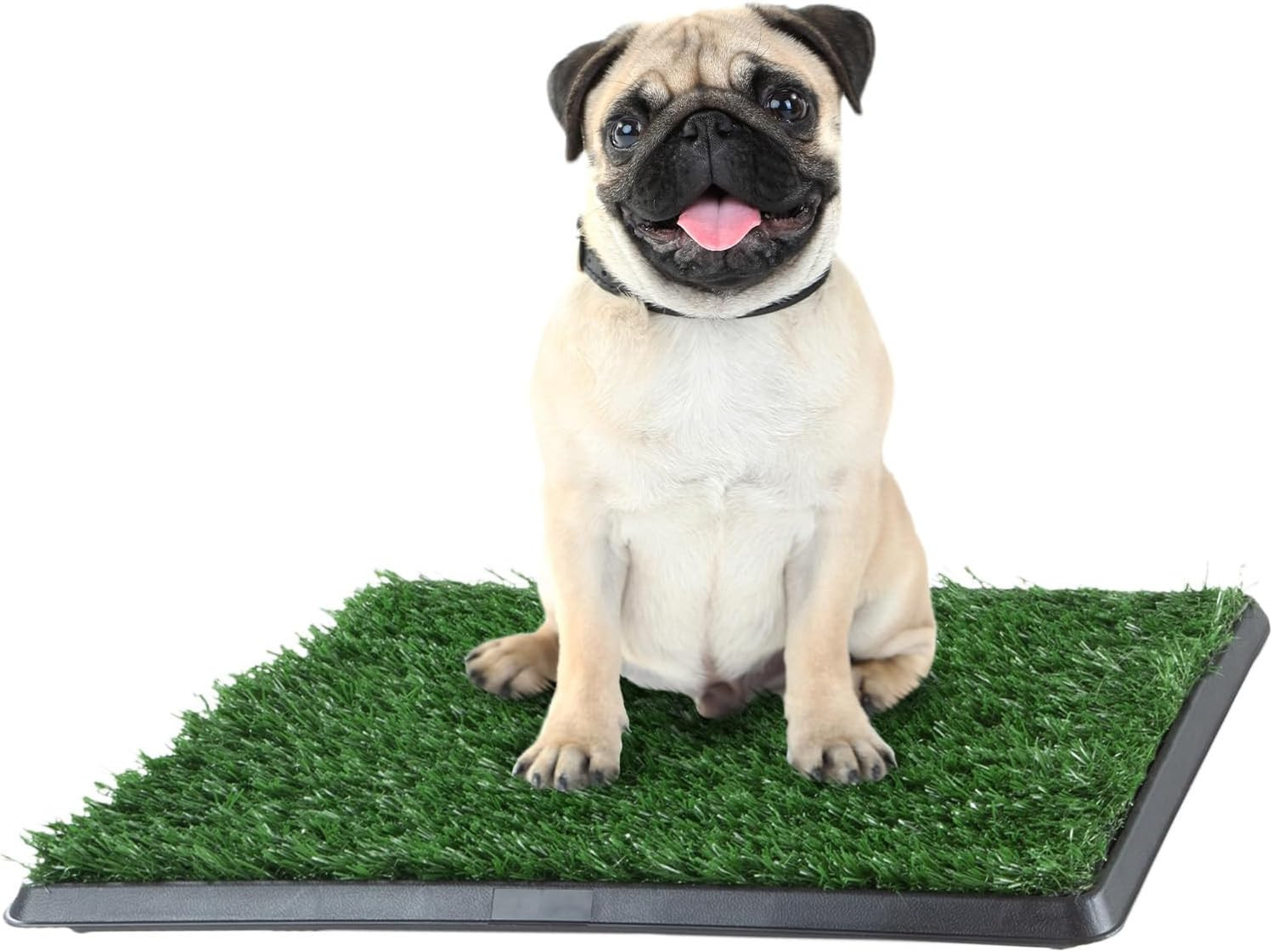Artificial Grass Puppy Pad with Tray 16X20 Inch | Reusable Indoor & Outdoor Dog