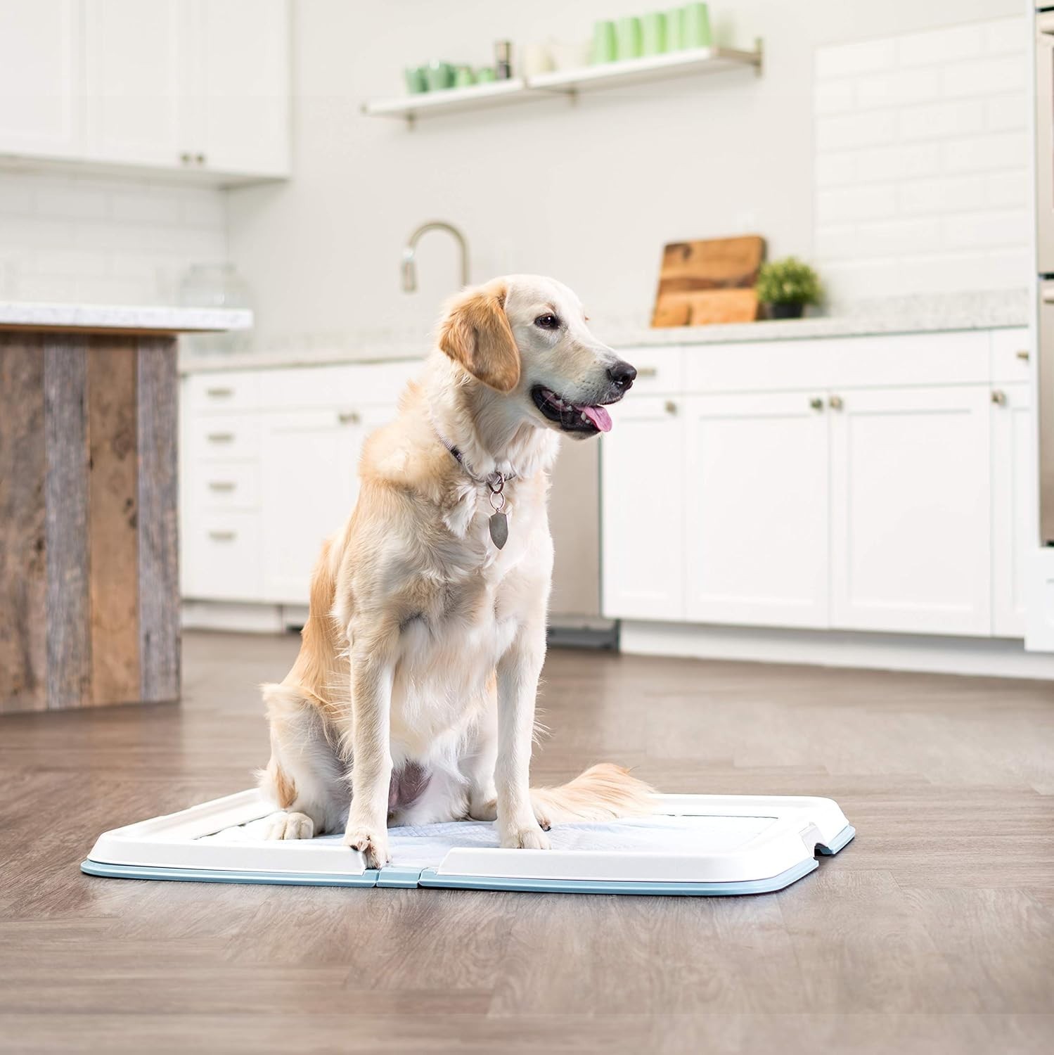Pee Pad Holder for Dogs – Secure & Easy to Clean, Fits 28″x34″ Pads