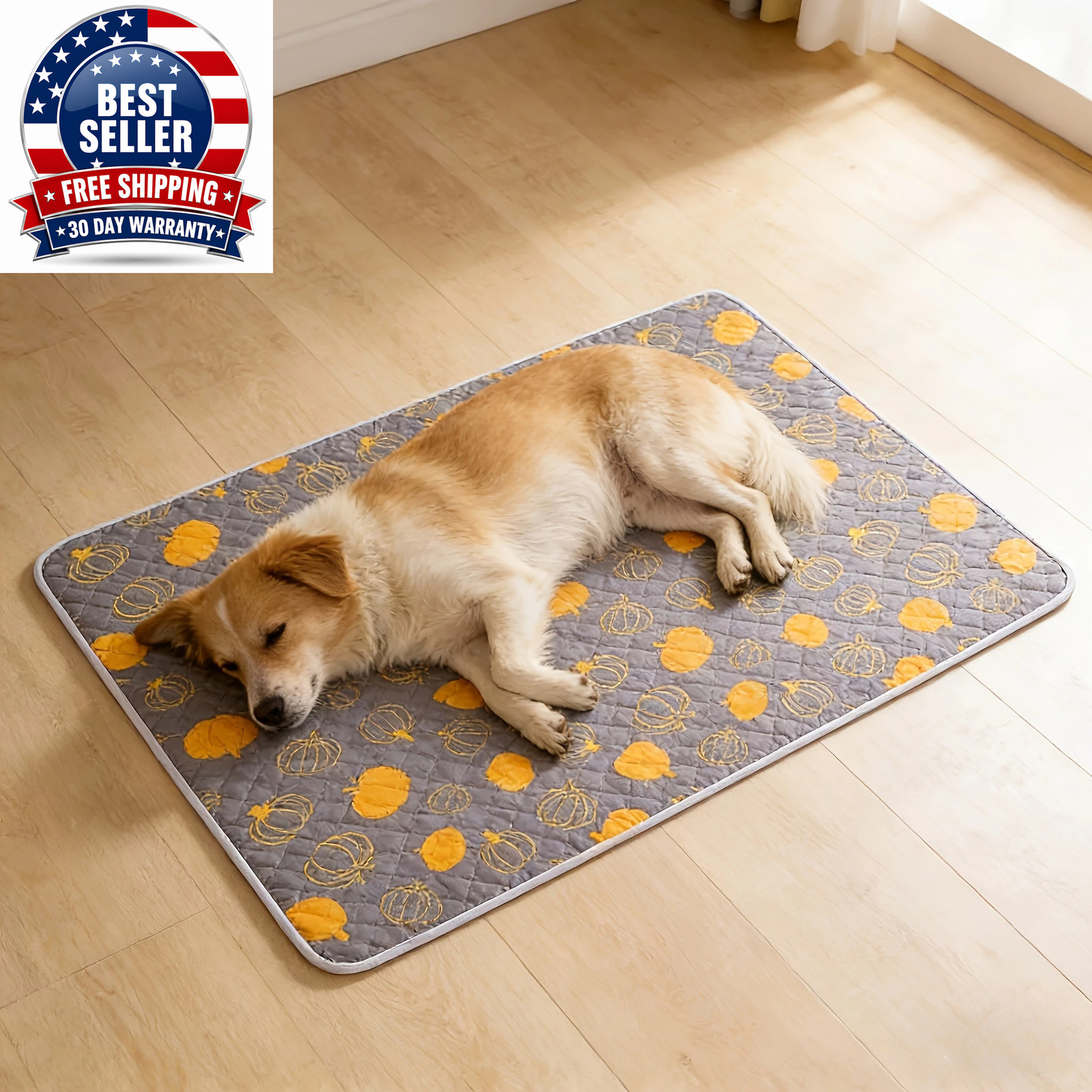 2Pcs Dog Training Mat Washable and Reusable Specially Designed for Pet Training