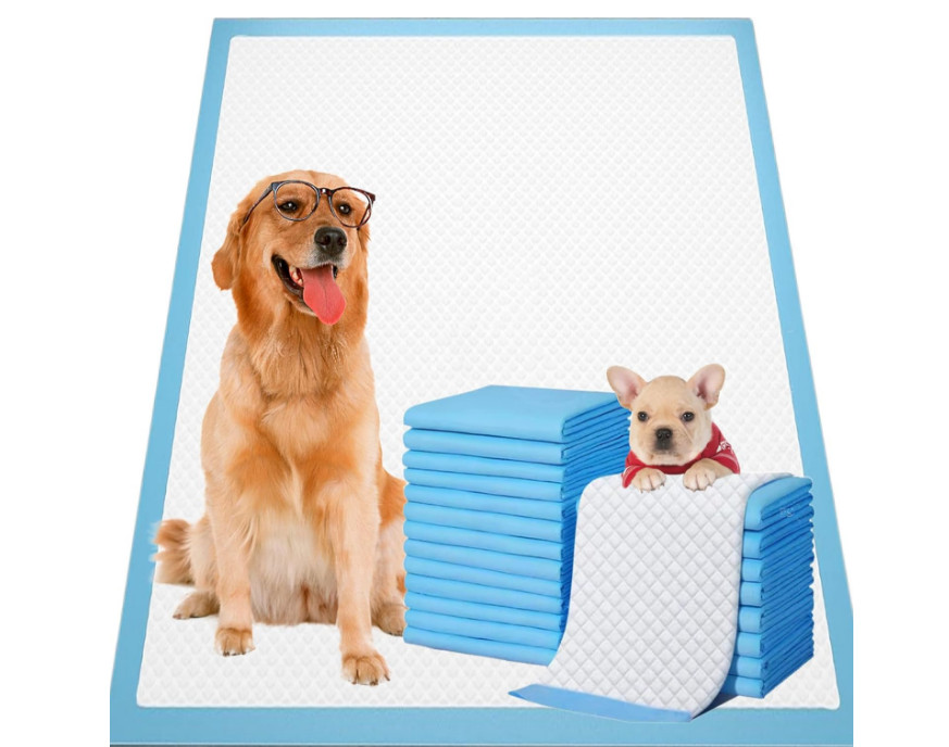 Dog & Puppy Pee Pad with Leak-Proof Standard Absorbency & Dry for Potty Training