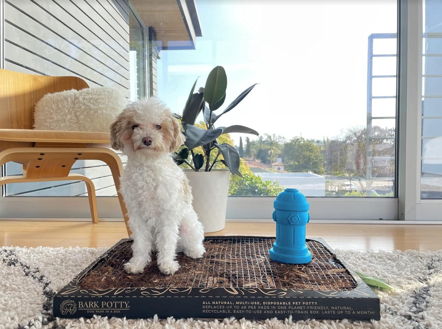 Silicone Potty Training Dog Fire Hydrant | Pee Training for Male Dogs | Blue