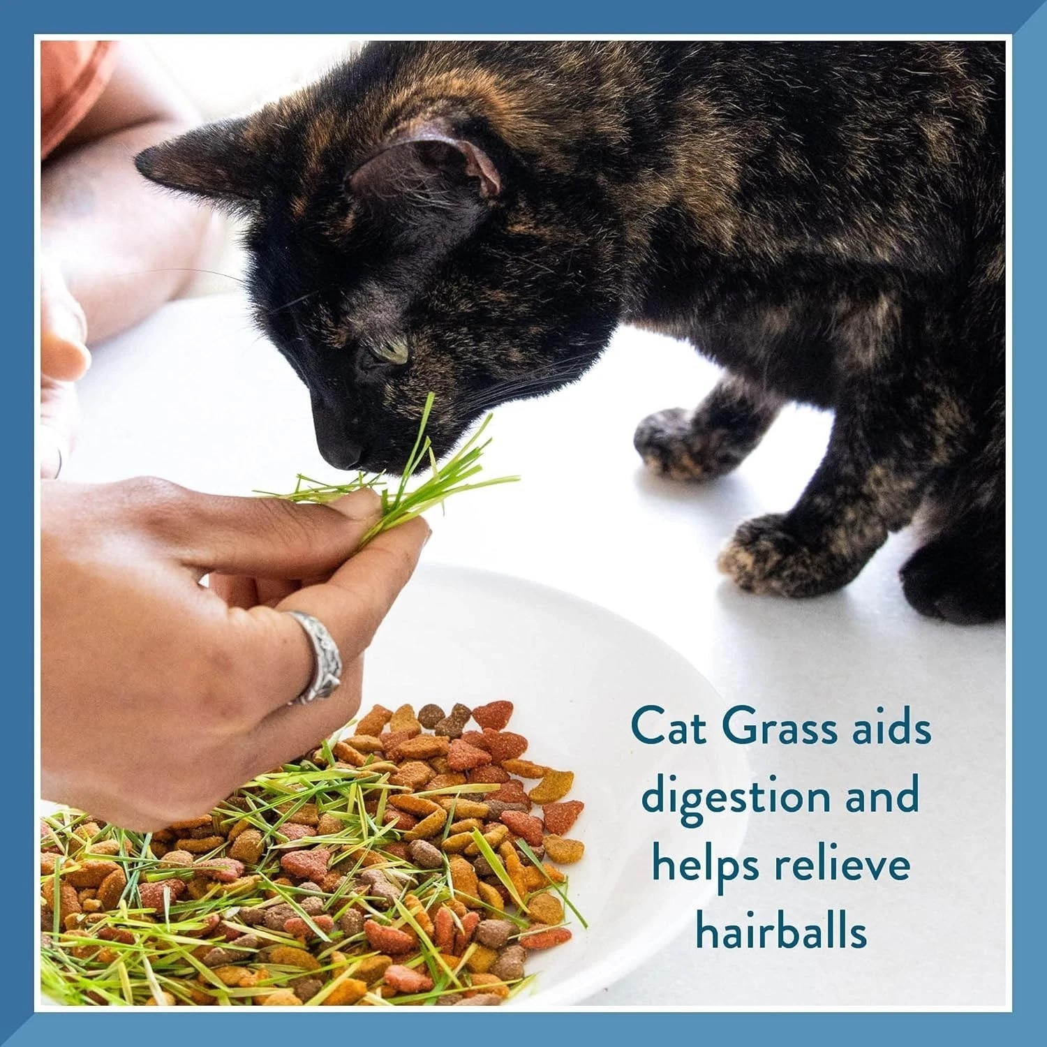 Pet Grass Kit with 100% Organic Wheatgrass – Grows in 5-7 Days for Healthy Pets