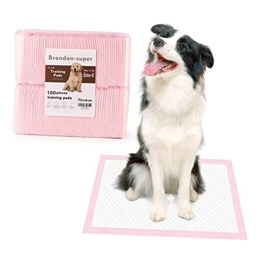 Super-Absorbent Leak-Proof Dog and Puppy Pet Training Pad, 13″ x 18″ – 100 PCS