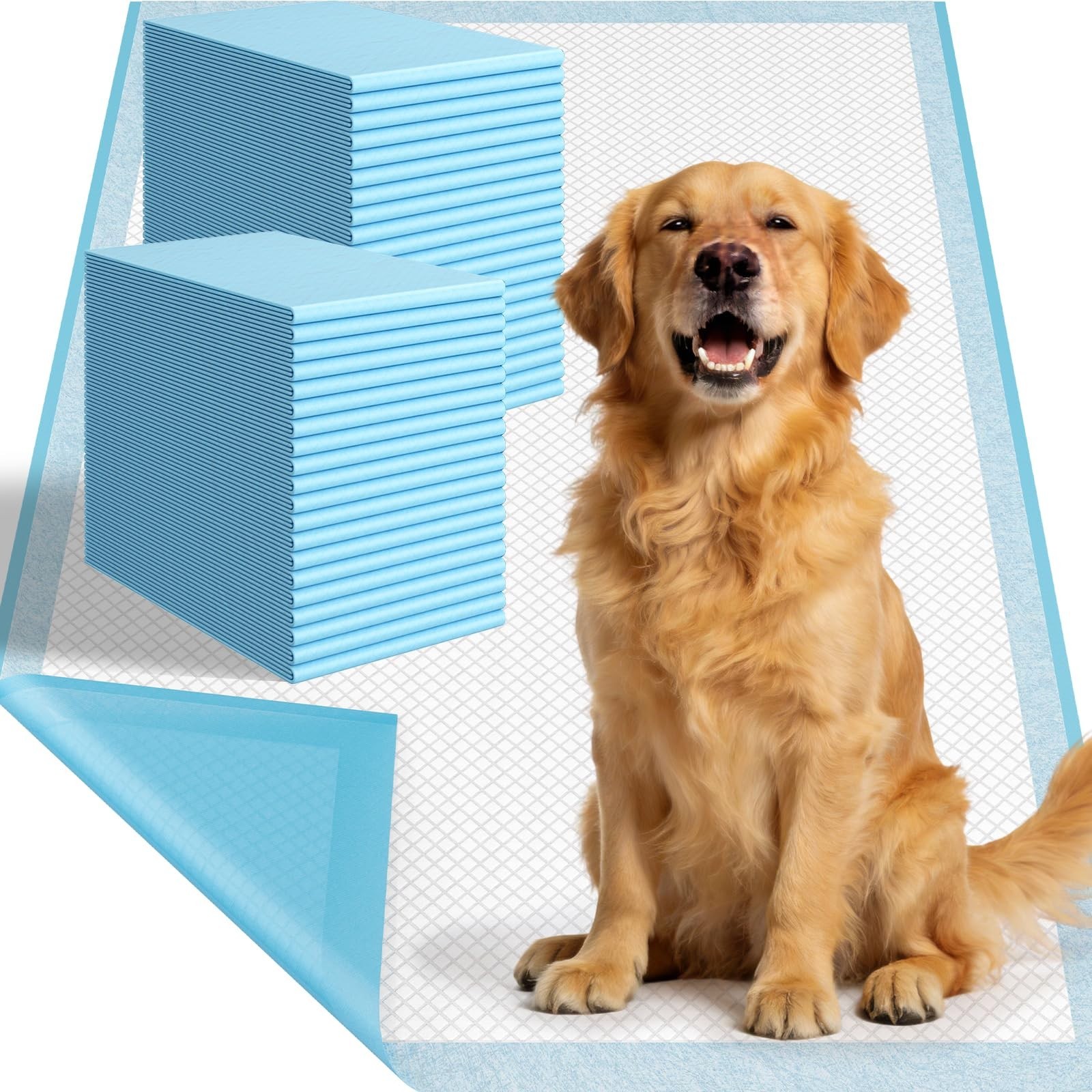 Extra Large Puppy Pee Pads 31″ x 47″ – 40 Count, Super Absorbent Leak-Proof Pott