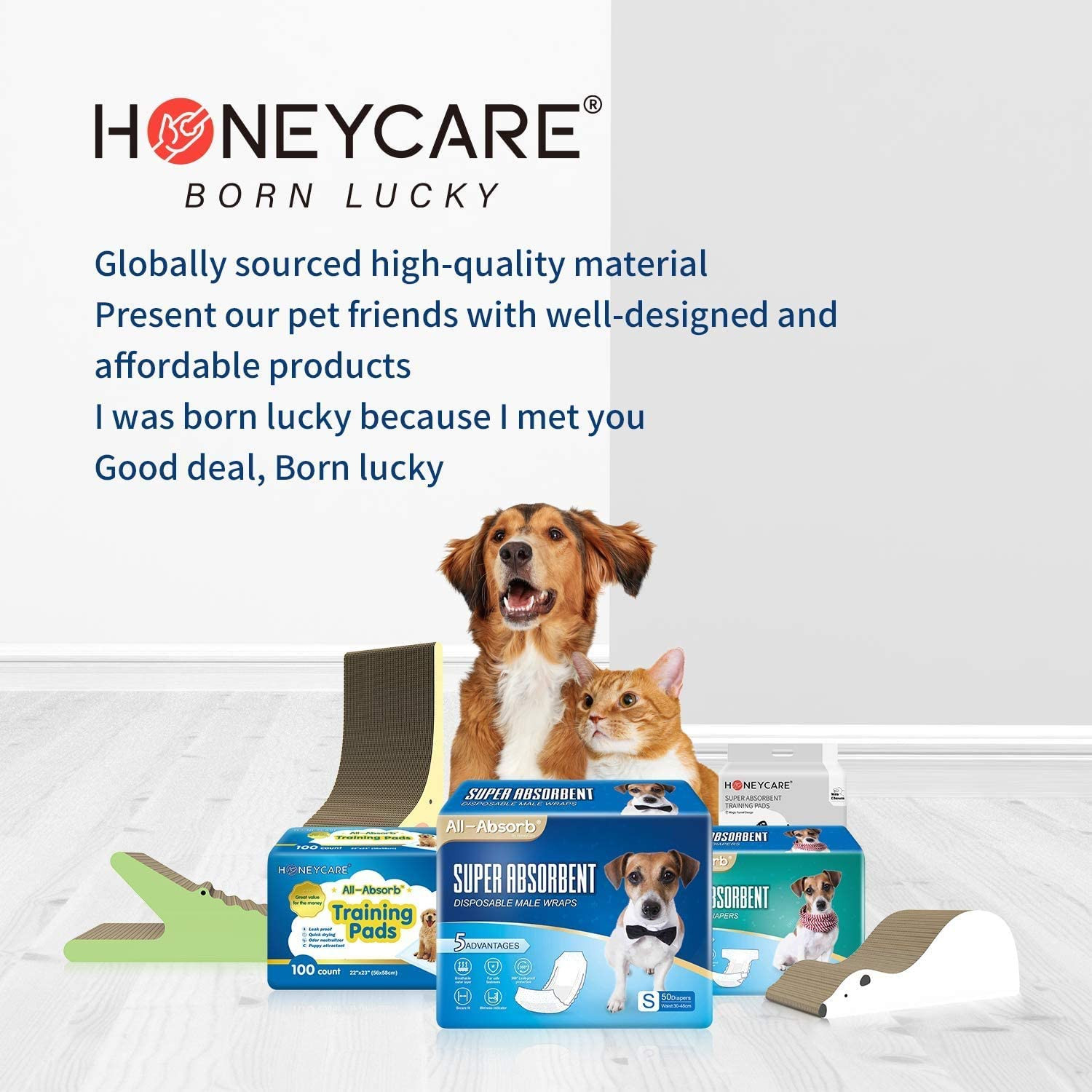 All-Absorb, Large 22″ x 23″, 100 Count, Dog and Puppy Training Pads, Ultra Ab…