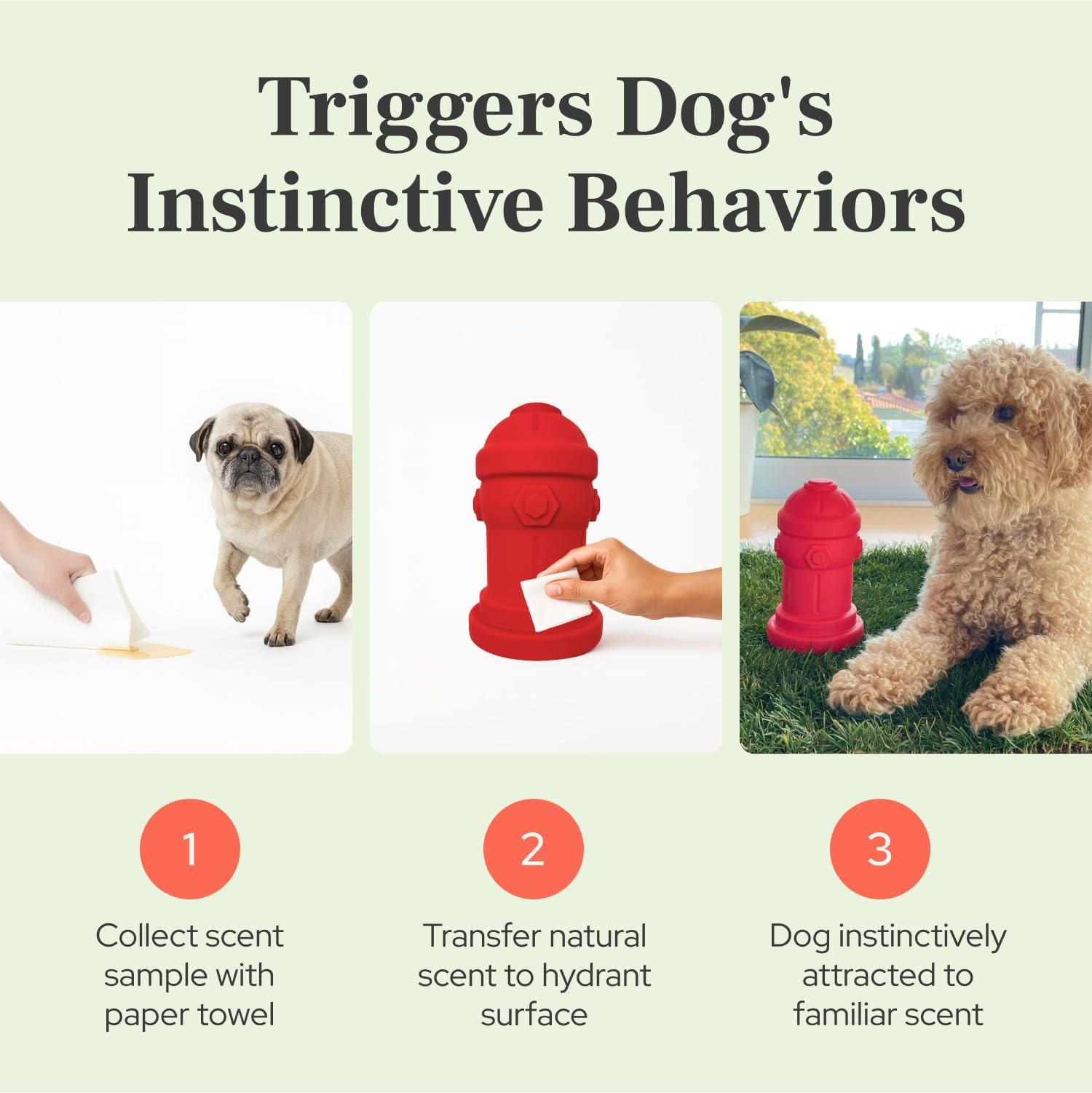 Small Dog Fire Hydrant 4×7 Silicone Soft Potty Training Aid for Small Breeds …