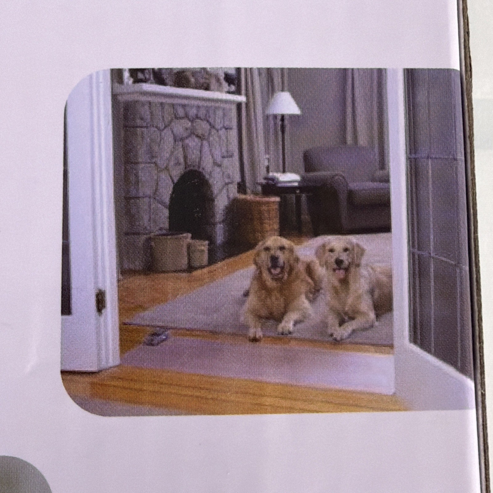 Indoor dog and cat training mat. Clear. Battery operated.