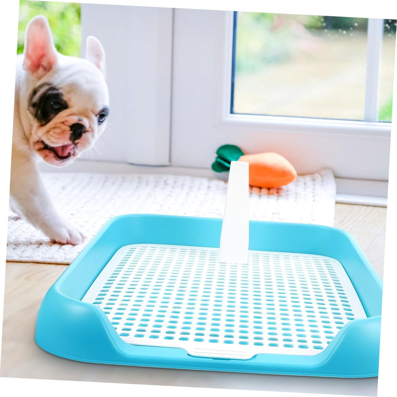 Indoor Dog Potty Tray with Non Slip Design for Small and Pets Easy to Clean Mesh