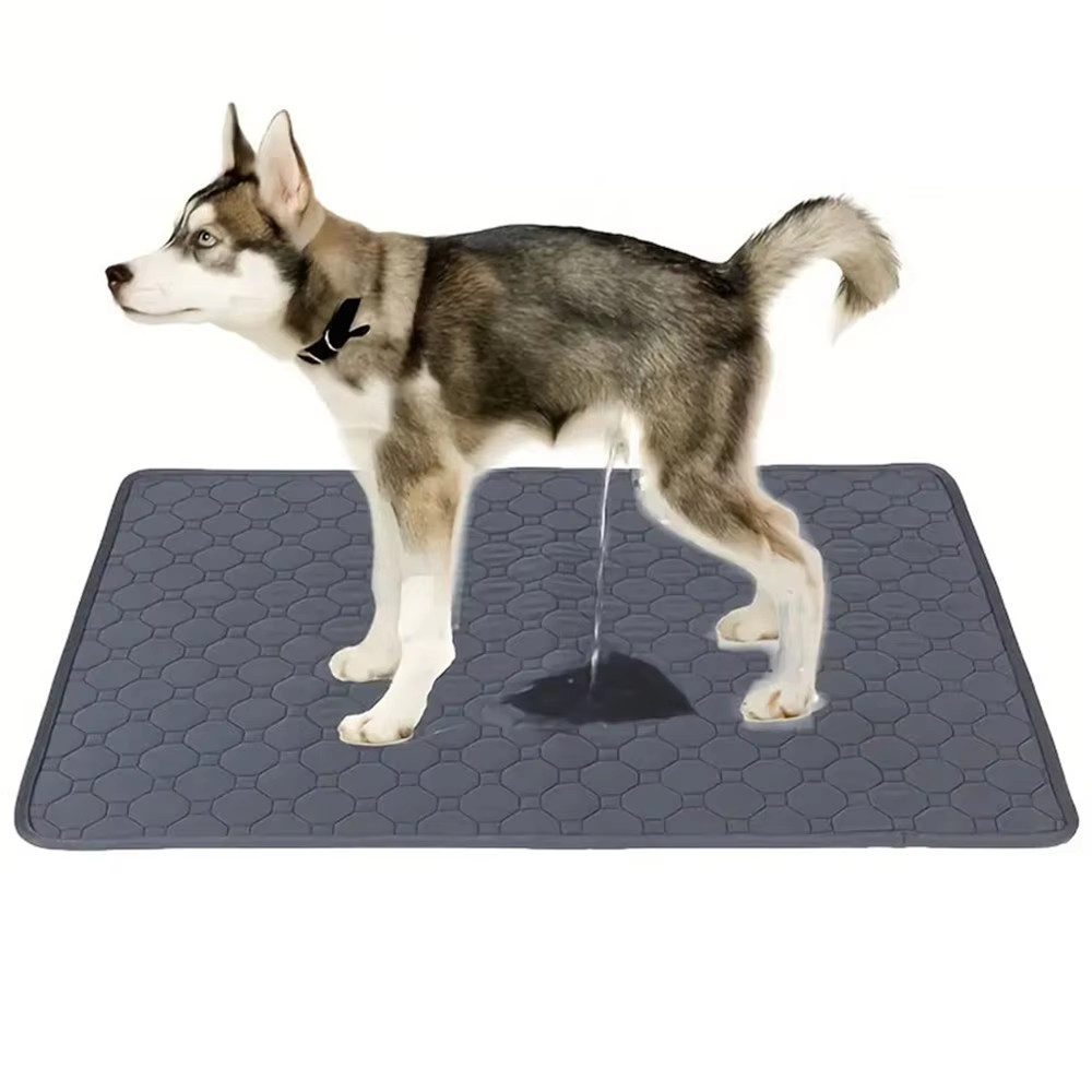 Dog Pee Pad Reusable Washable Dog Urine Mat Car Seat Floor Sofa Waterproof Absor