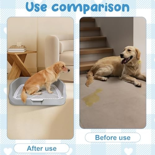 XL Dog Litter Box & Pee Pad Holder, Puppy Potty Training Tray for Small/Medium D