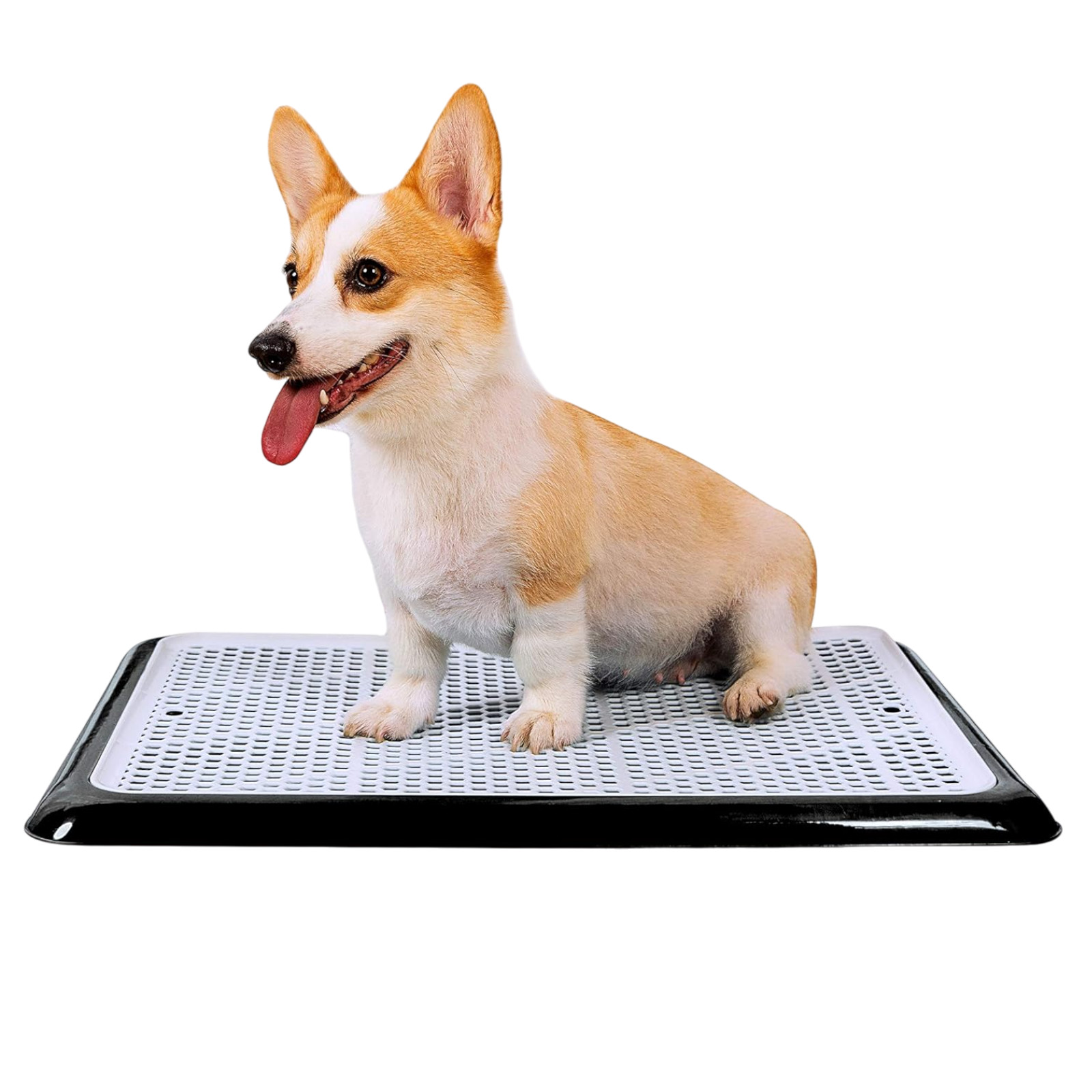 Indoor Dog Potty Tray Puppy Pee Pad Holder 25”x20” Small and Medium Dogs Black