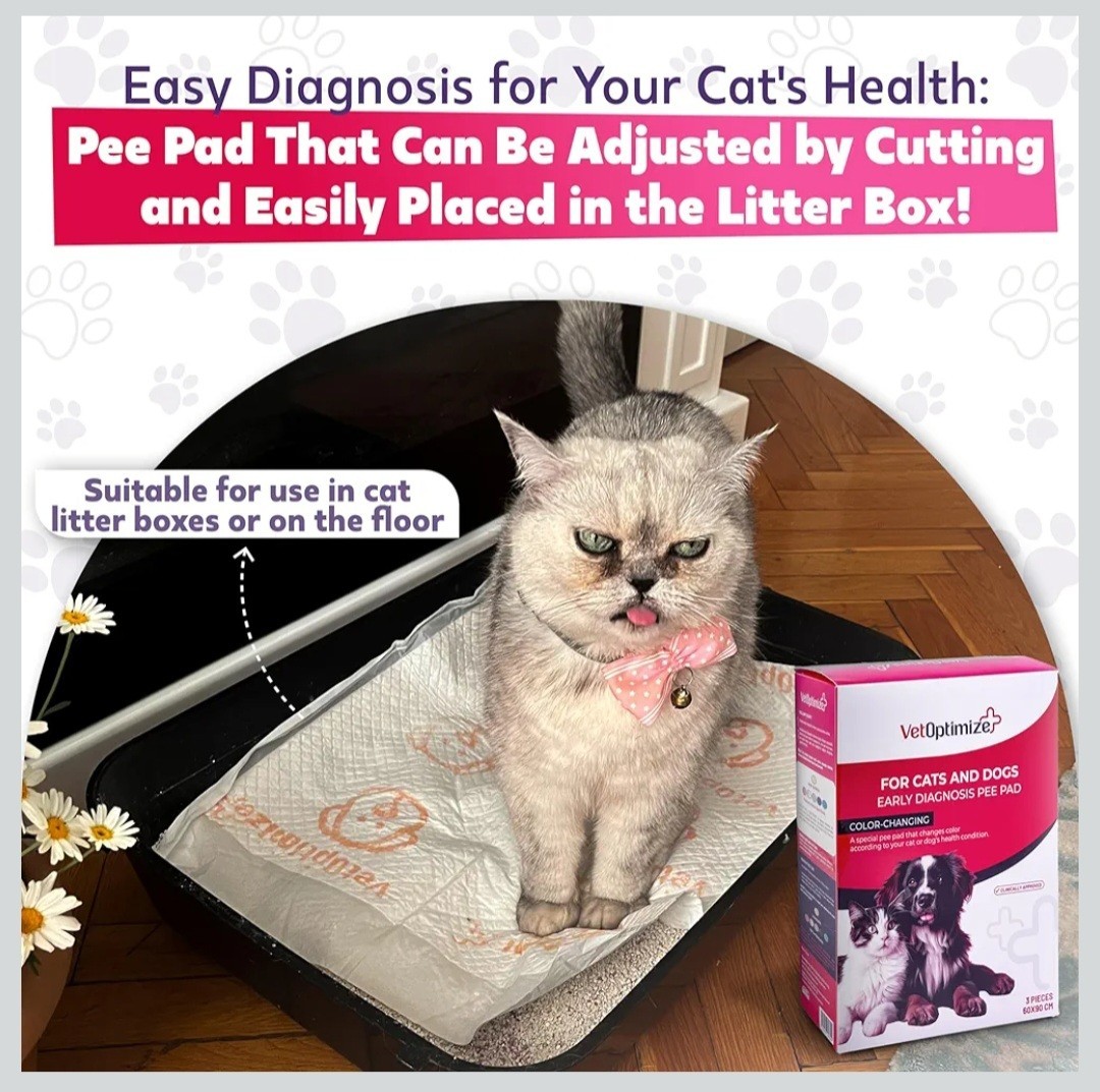 Health Check Pee Pads PH monitoring Early Detection Health Screening Urine Kit 3