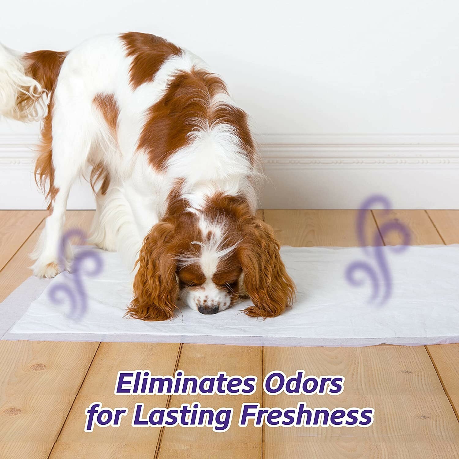 Hartz Home Protection Odor Eliminating Lavender Scented Dog Pads, 21″x 21″, 70ct