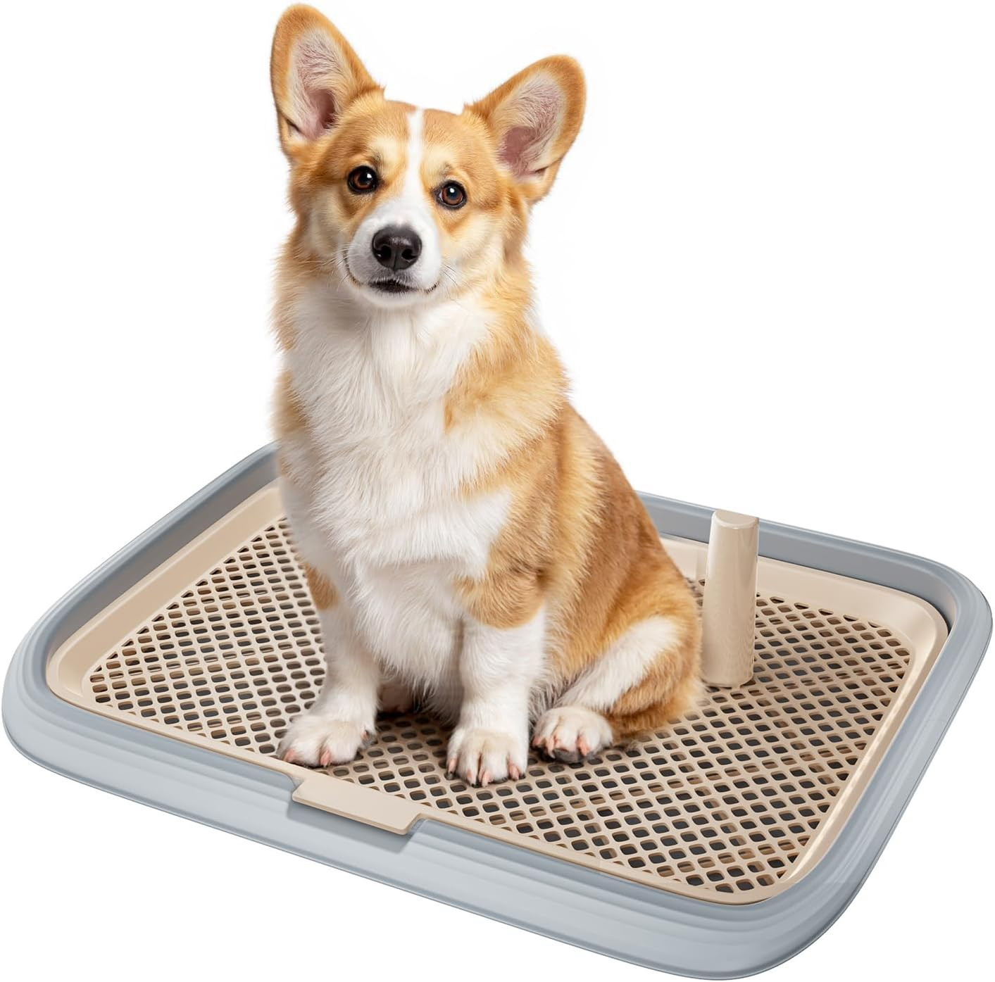 Dog Potty Tray, 23.6″X17.68″ Indoor Pet Pee Pad Holder,Puppy Training Holder,Bat