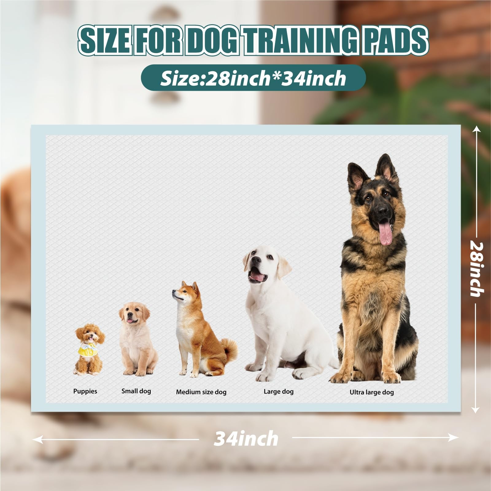 GWT Puppy Pads Extra Large 28×34 Inch – 40 Count Dog Pee Pads, Ultra Absorben…