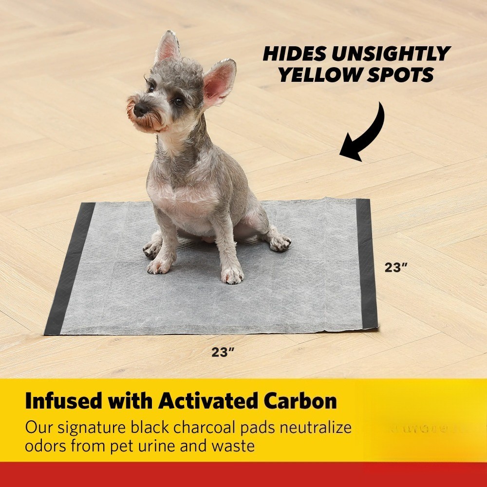 Charcoal Leak-Resistant Training Pads for Dogs, 23in x 23in, 100 Count