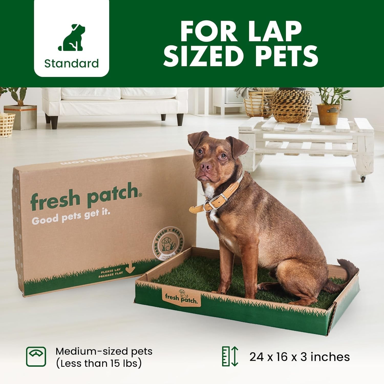 Ultimate Grass Pee Pad for Dogs & Cats – 16×24, Odor Control & Easy Clean