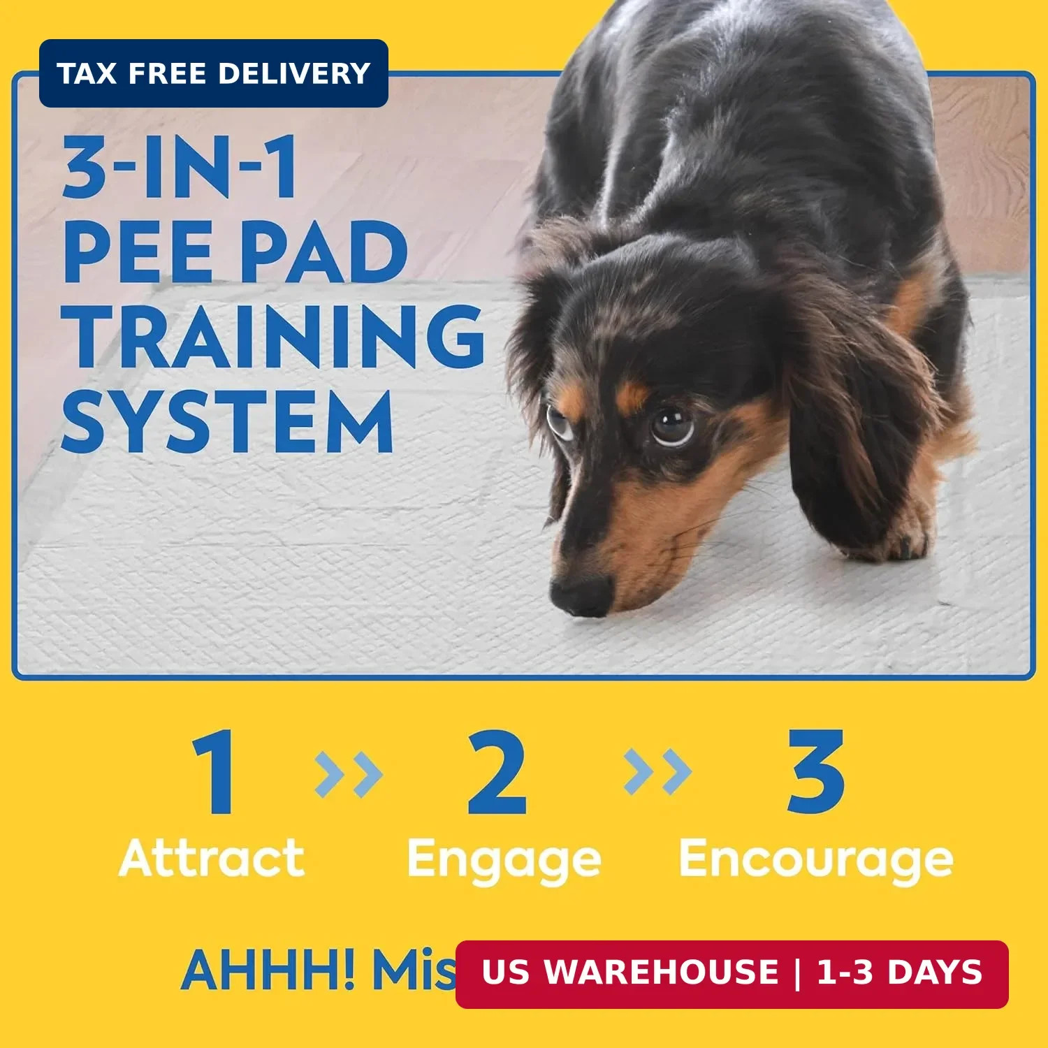 OUT! PetCare XXL Puppy Pads, Heavy Duty Pee Pads for Dogs, 26×30, 30 Count | Dog
