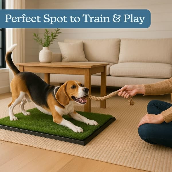 Artificial Grass Puppy Pee Pad for Dogs and Small Pets – 20×25 Inch, Reusable…