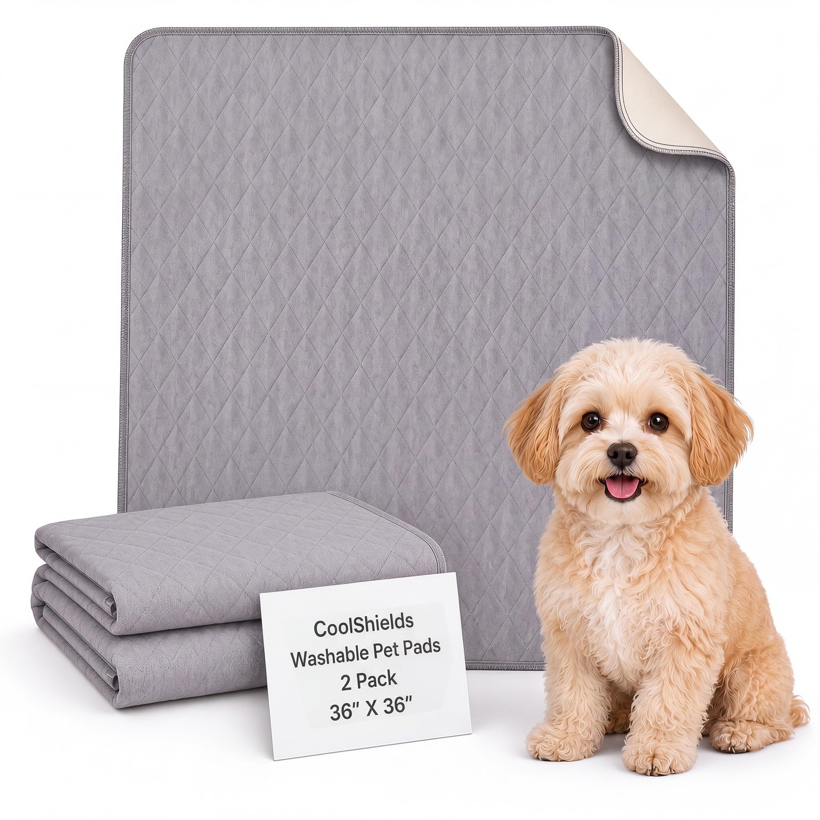CoolShields Washable Pee Pads for Dogs, 36” x 36”, Grey, 2 Pack | Ultra-Abs…