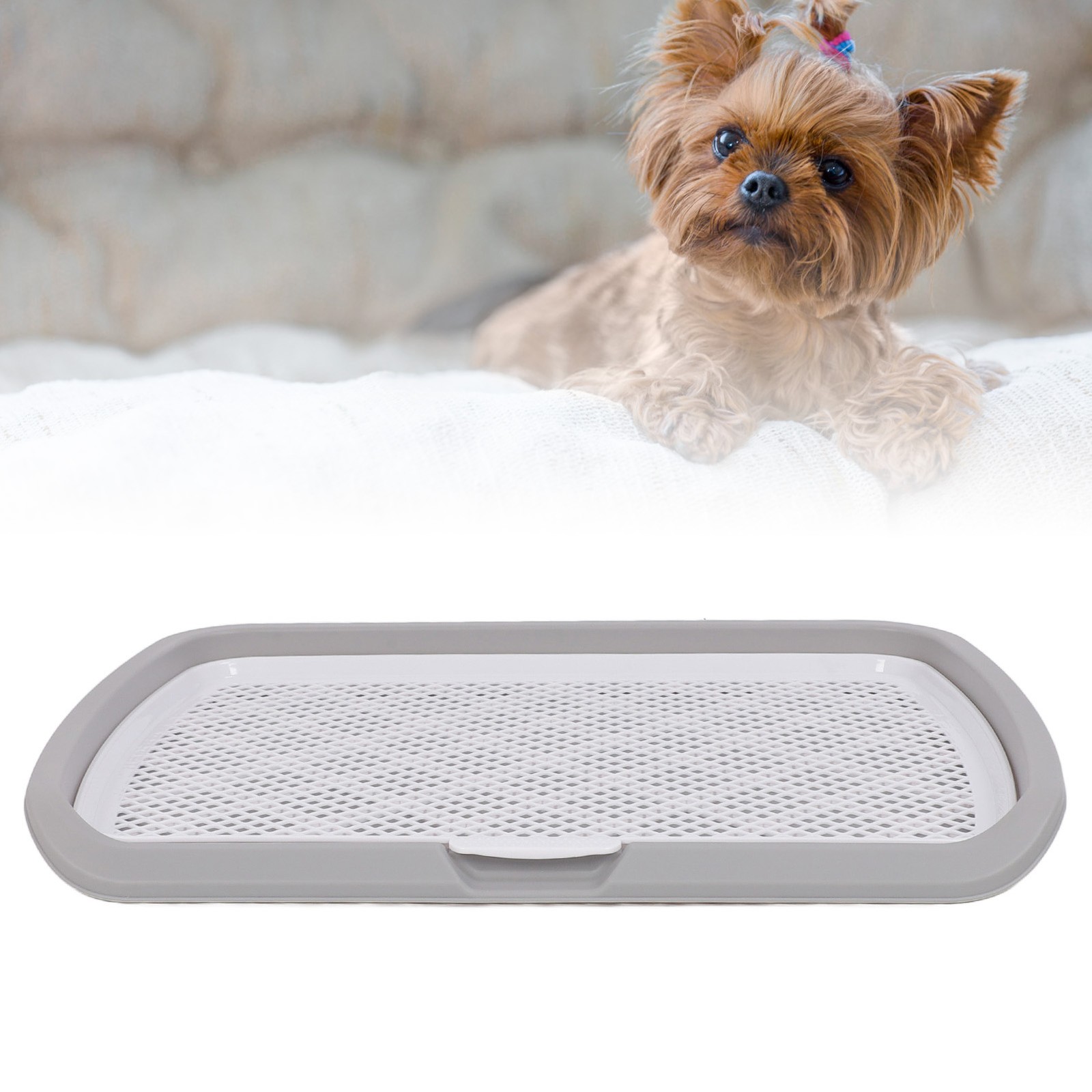 Detachable Puppy Potty Training Tray For Small Dog Clean Pet Training Hold