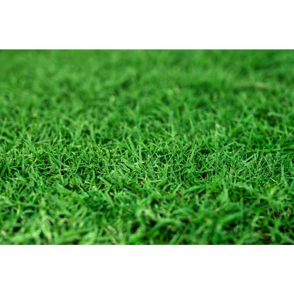 Gotta Go Grass Bermuda Potty Pad Refill plus Treat plus Waste Bags plus Waste Ba
