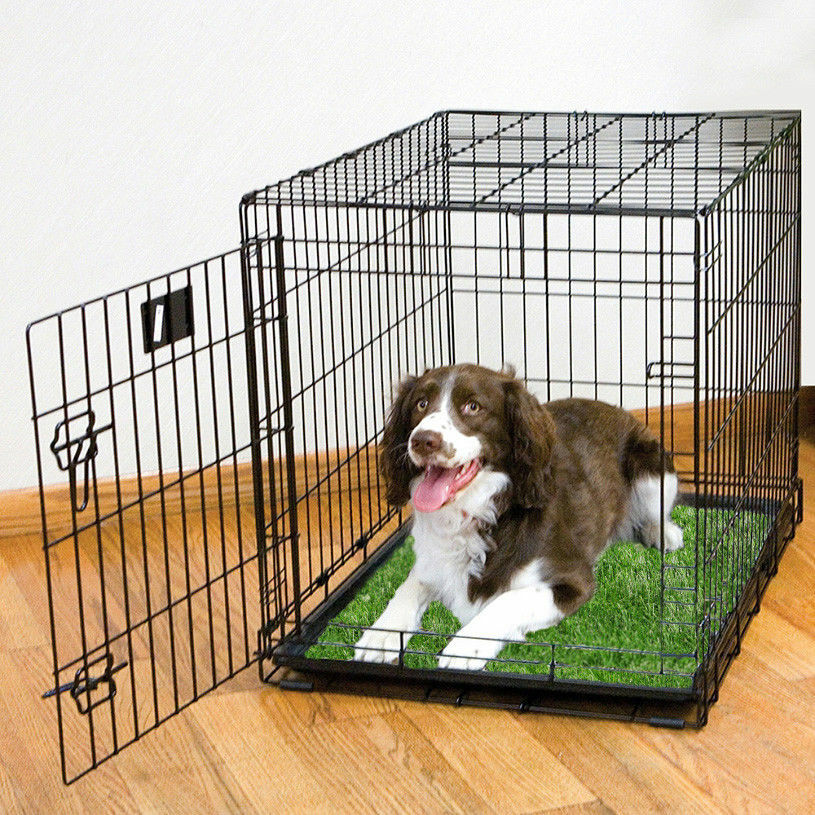 Replacement Grass Pet Synthetic Turf for Dog Potty Trays – Fits Trays 20″ x 30″