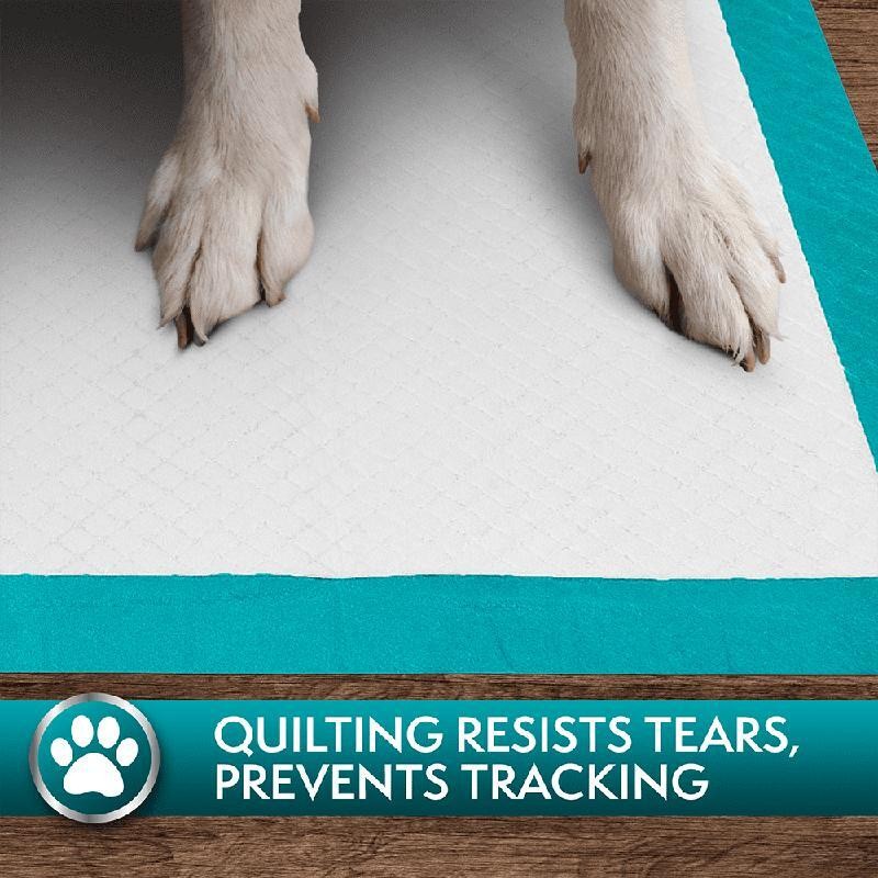 Extra Large Dog Training Pads Super Absorbent Odor Control Leak Proof 50 Count